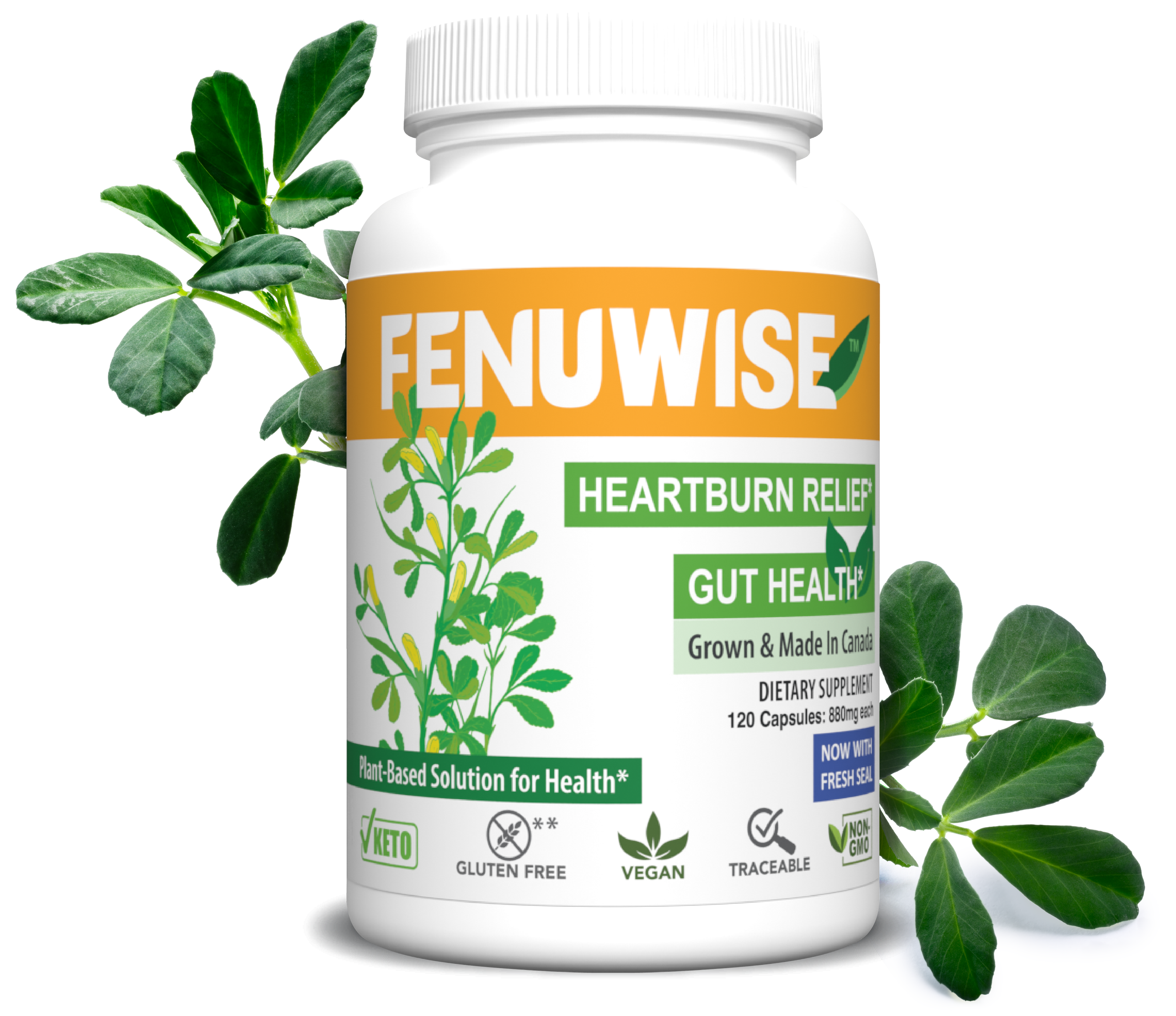 Fenuwise Fenugreek Supplement for Heartburn and Indigestion
