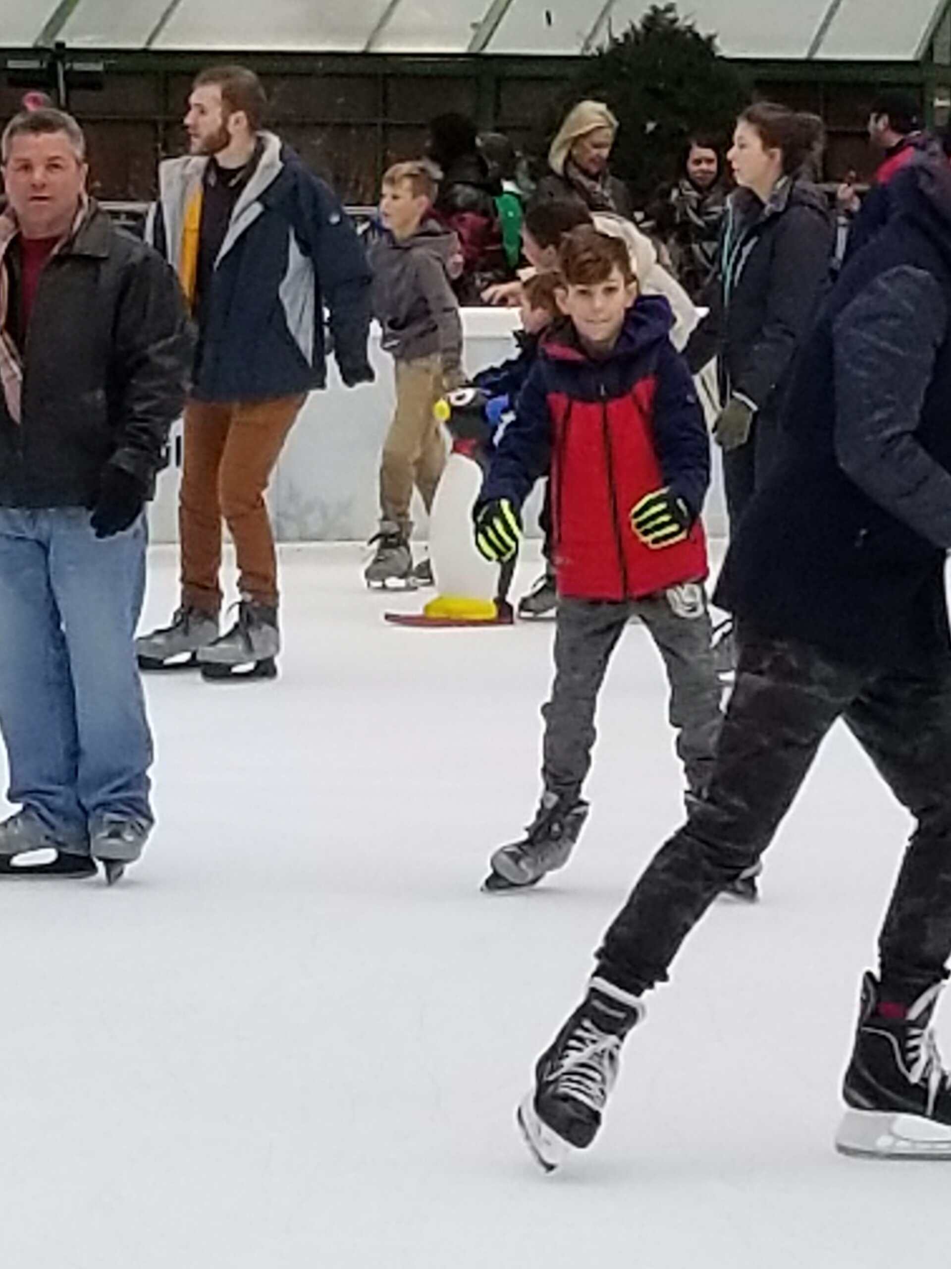 Resized_20191213_113404.jpeg