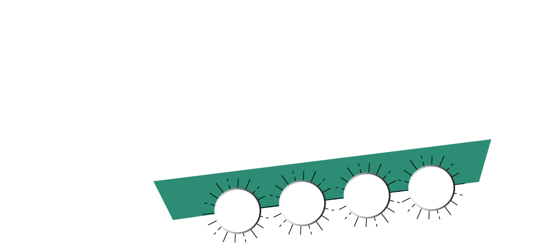 The Kemper Show