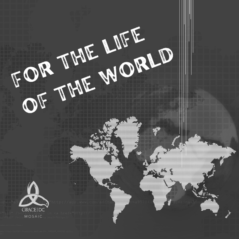 For the Life of the World (Sermon Series) (Copy)