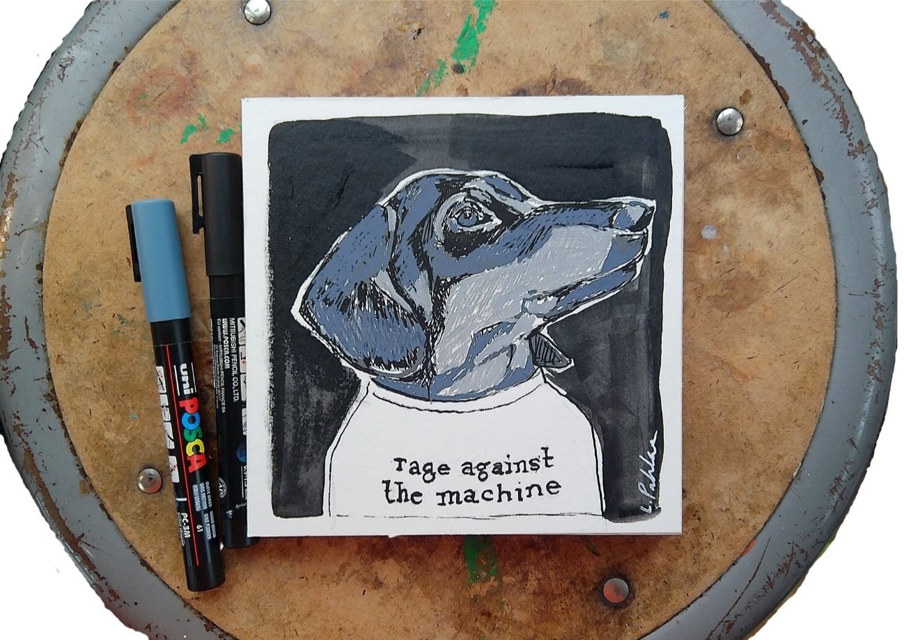 Dachshund Rage