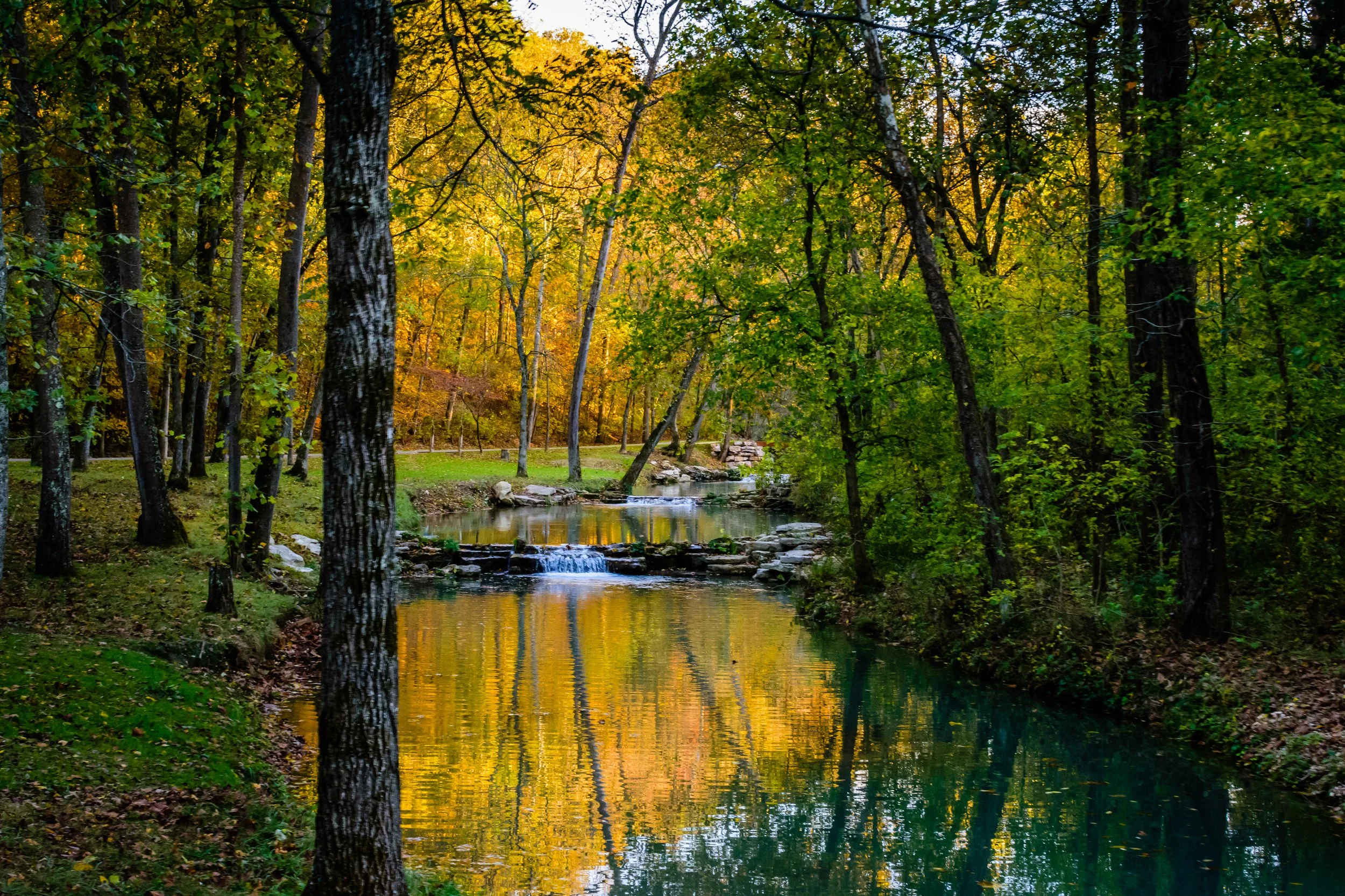 Fall Colors with Stream
