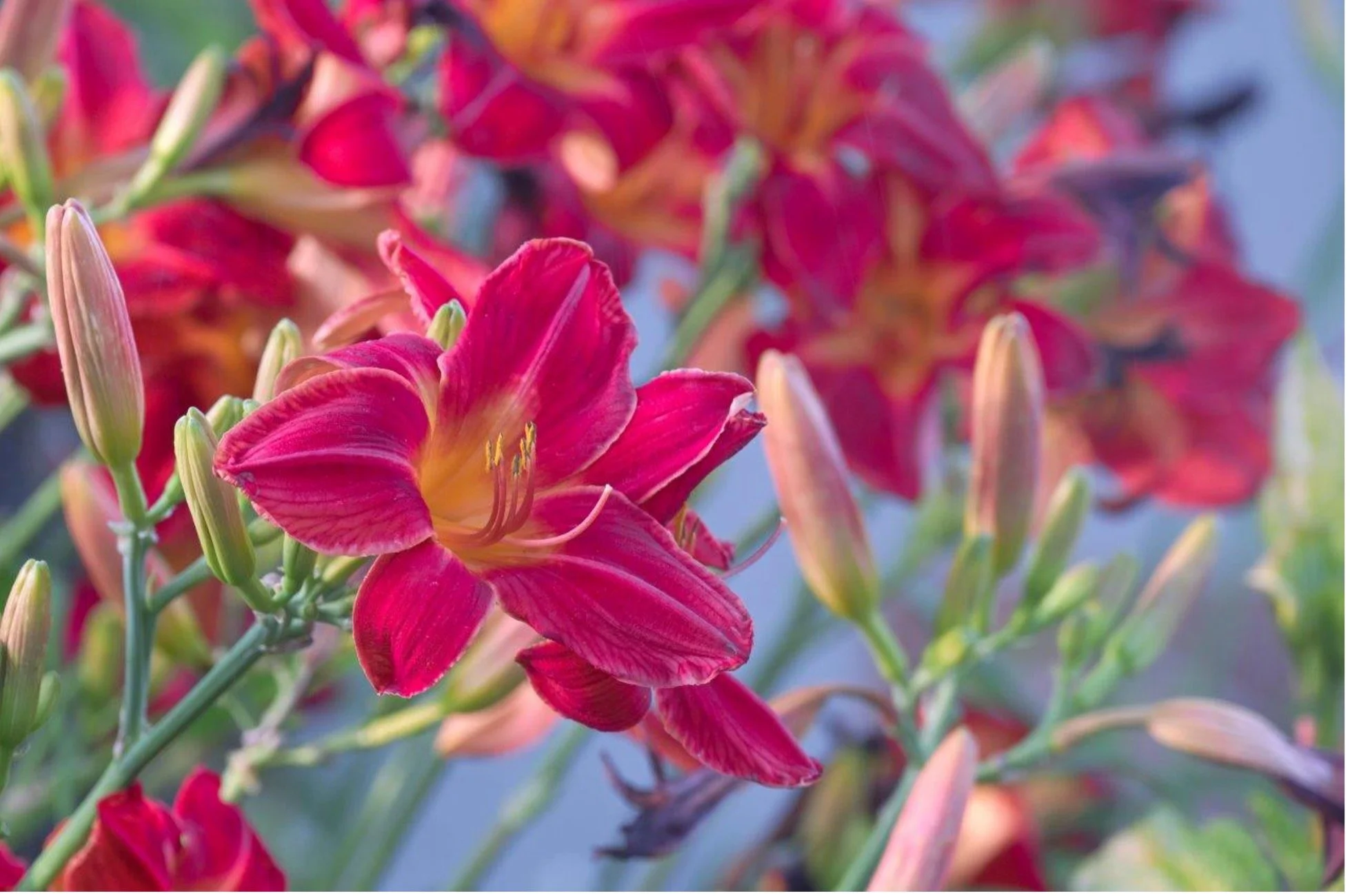 Enjoy God’s Unspeakable Summertime Generosity