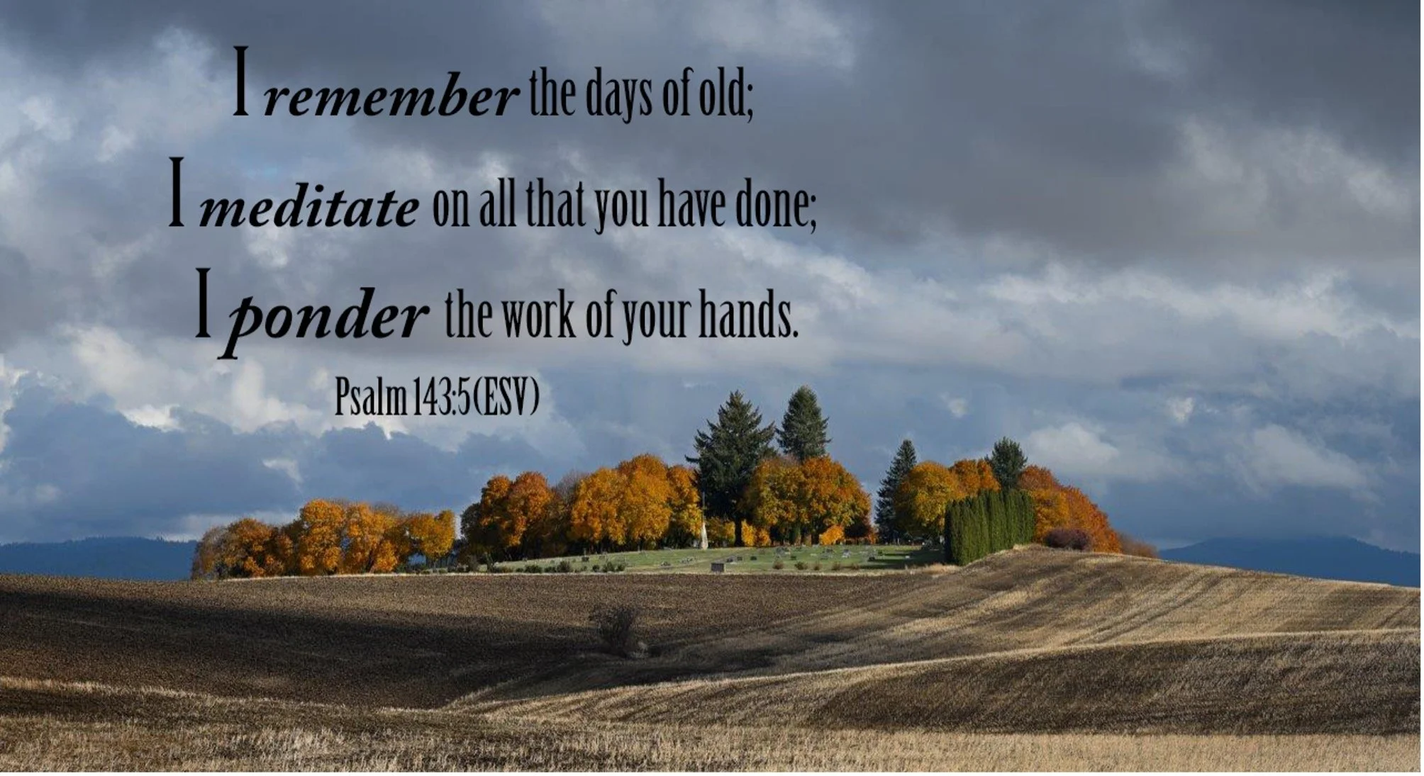 Thanksgiving                                             Time to Remember, Meditate, and Ponder