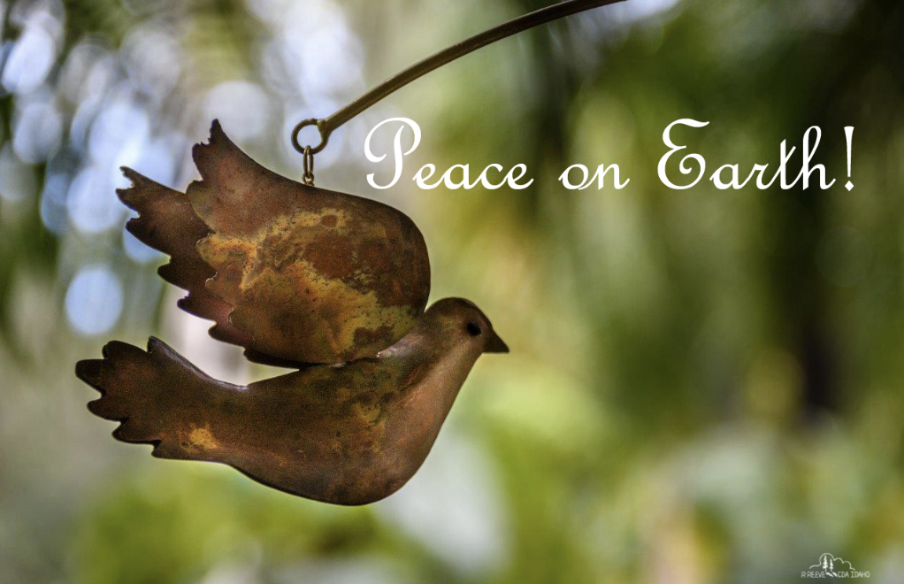 Advent: Focus on Peace