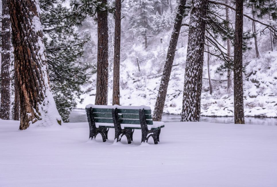 Discover Peace in Stillness
