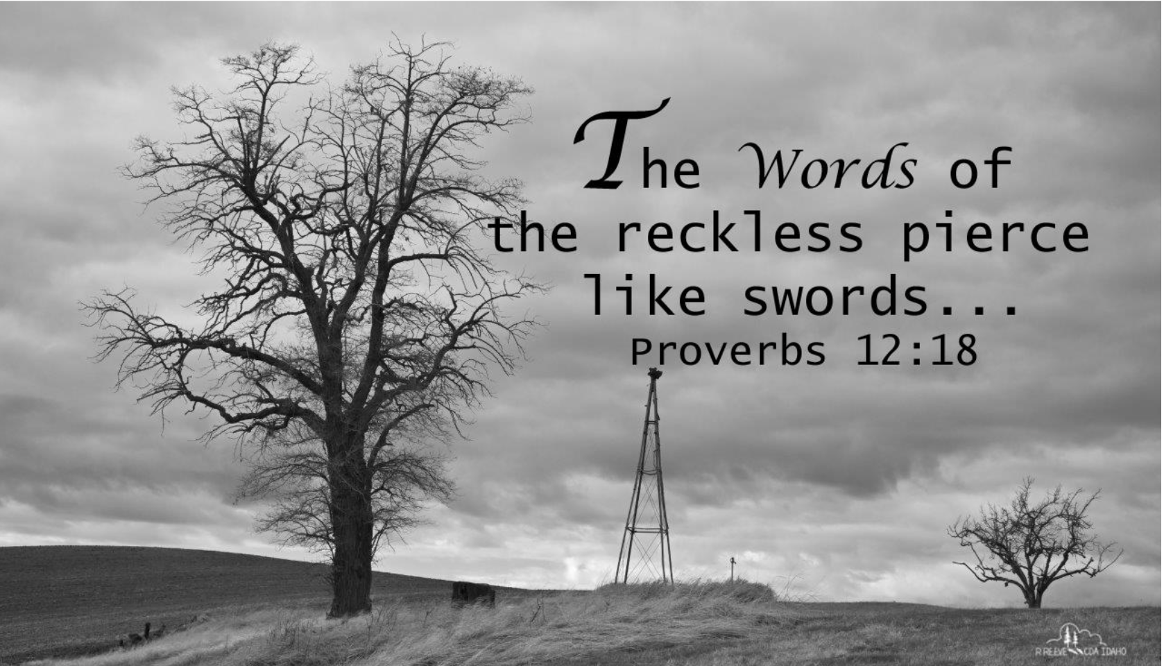 Wise or Reckless Words?