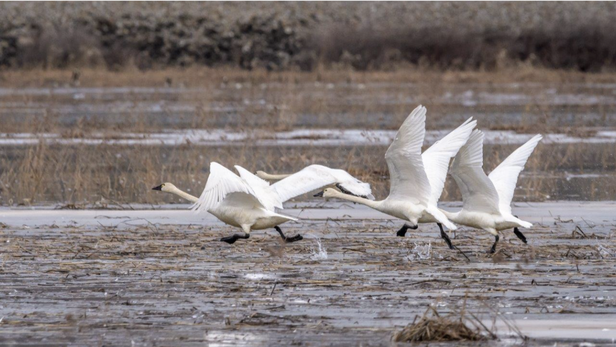 What Love is Not …