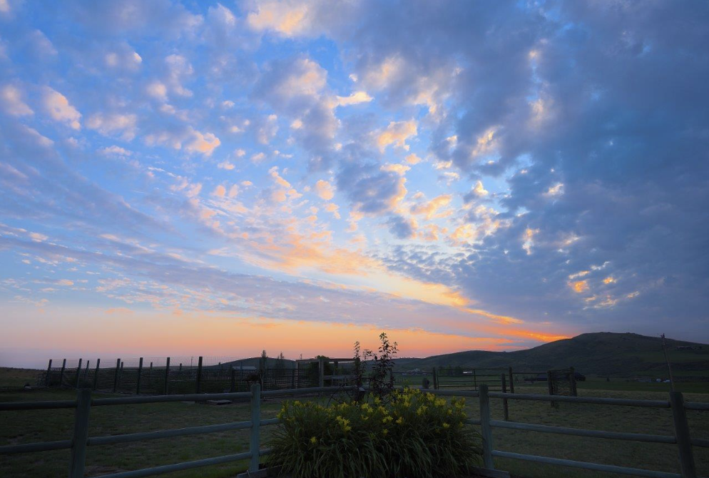 Monday Meditation                                   When a Dream is Delayed (Part 1)&nbsp; 