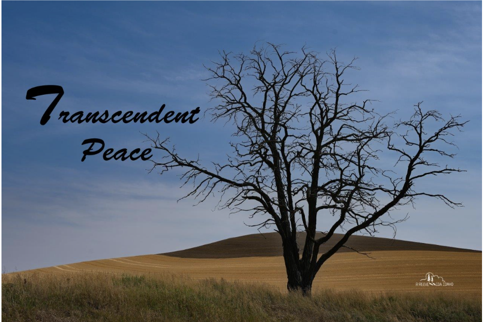 Discovering Movement in an Ancient Letter                                                Transcendent Peace                         Exploring Philippians 4:4-9