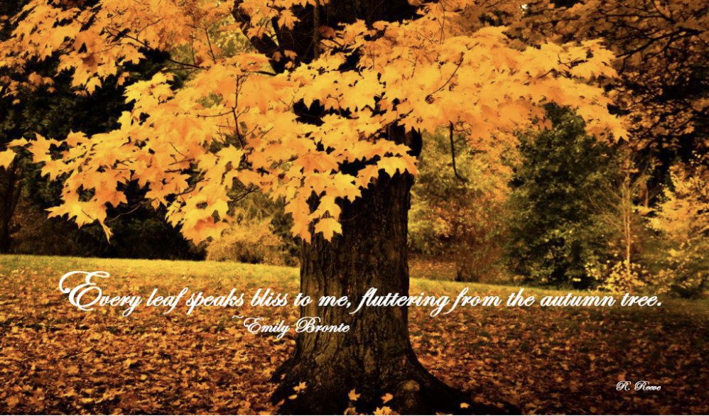 Thursday Thoughts                                        To Welcome, Autumn!