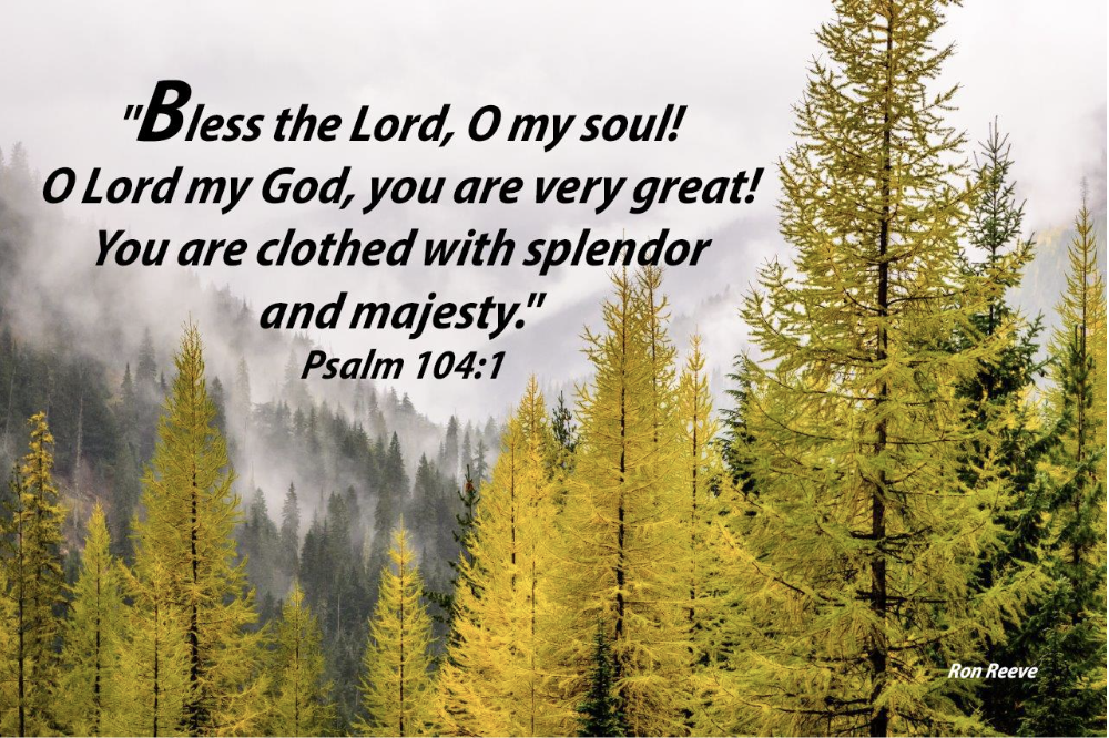 BIG-BLESSING OCTOBER          Bless the Lord, O My Soul!