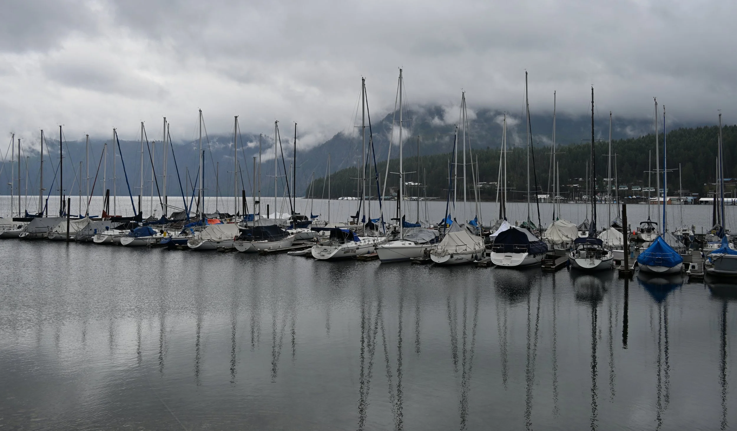 Overcast Day in Bayview