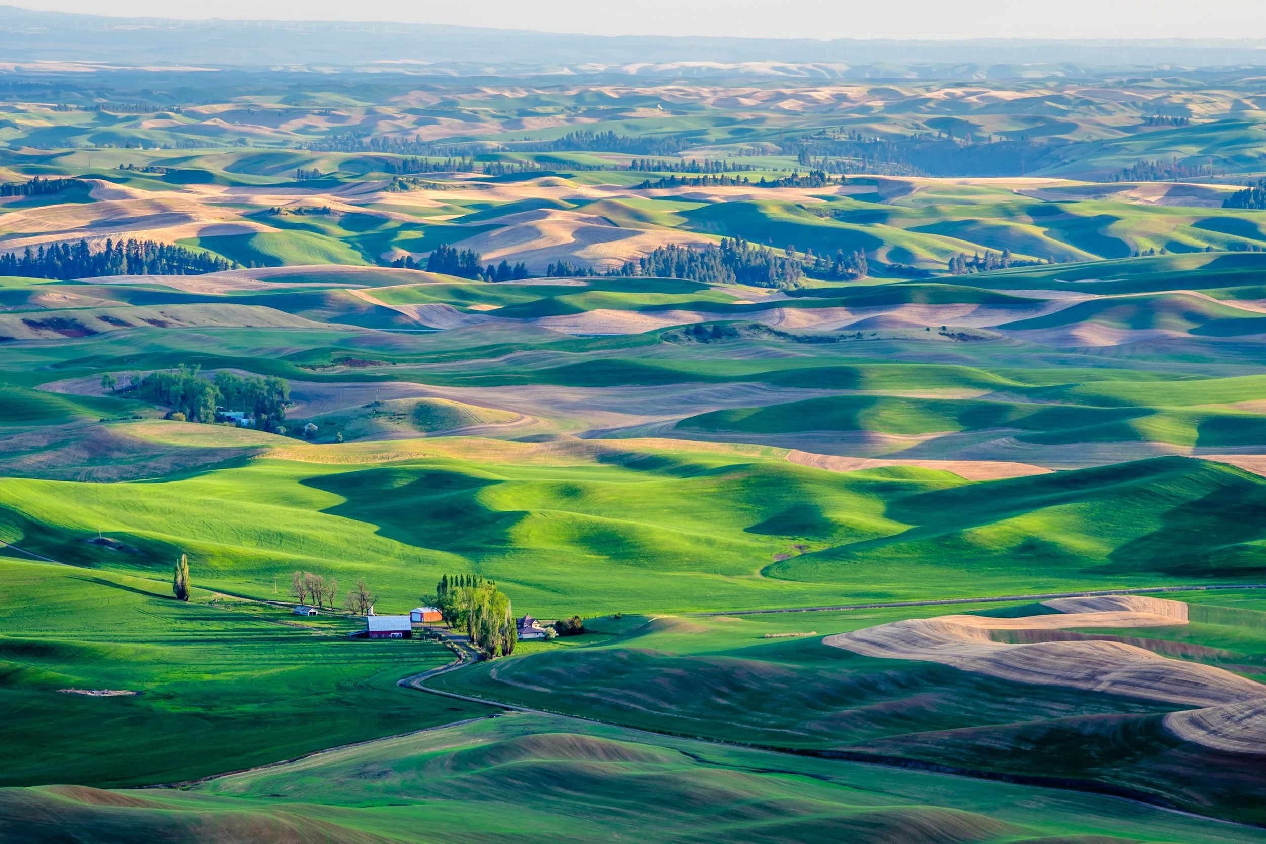 The WA Palouse from Steptoe Butte
