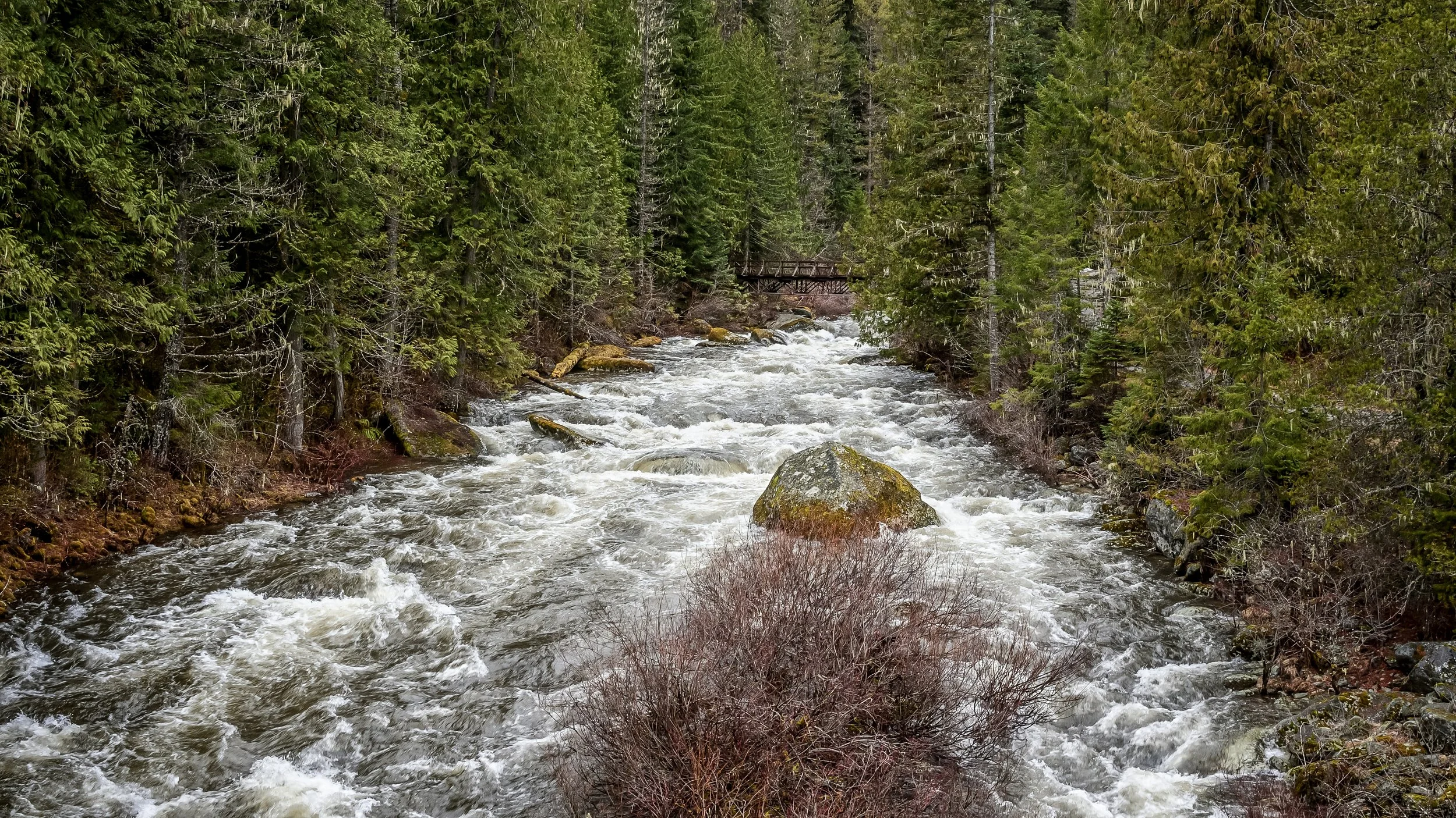 Eagle Creek Entering the Clearwater