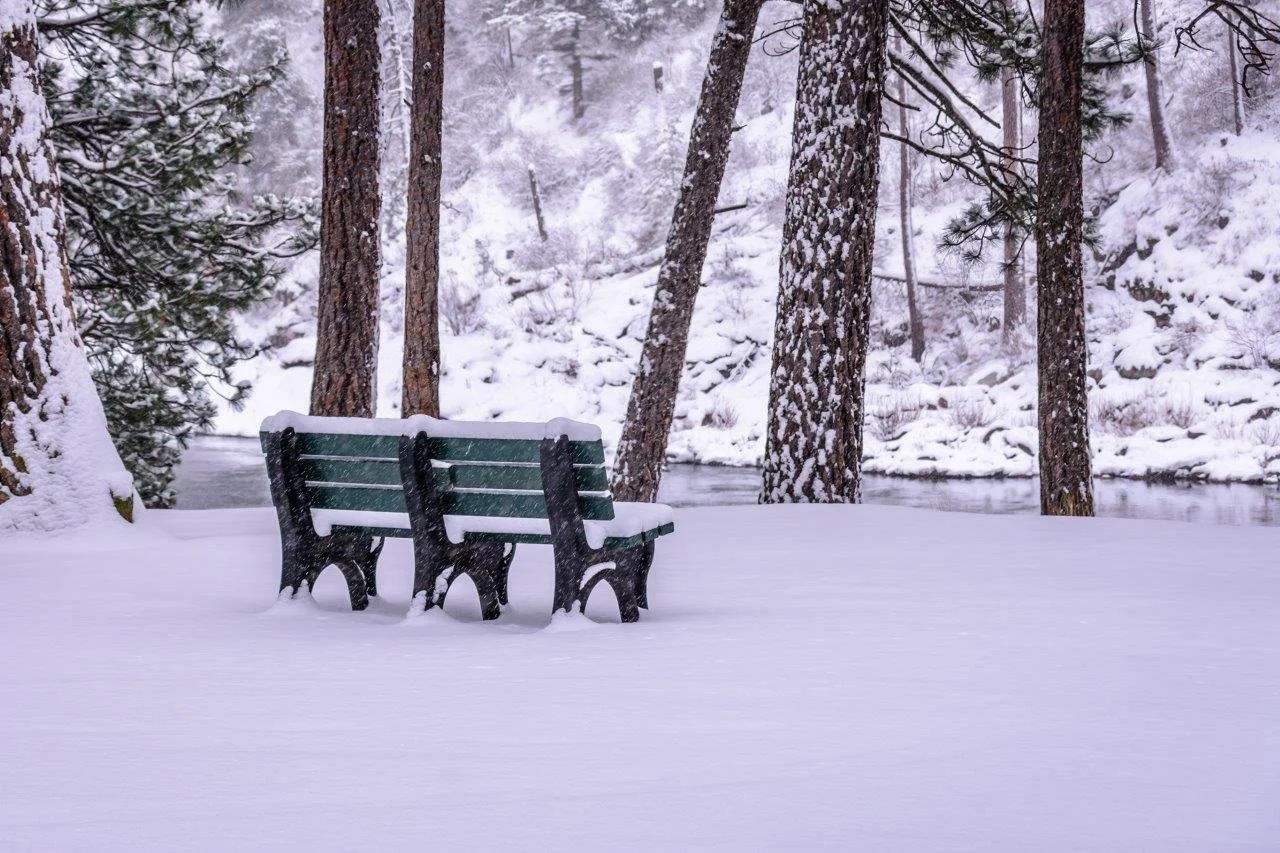 Snowy Day in the Park