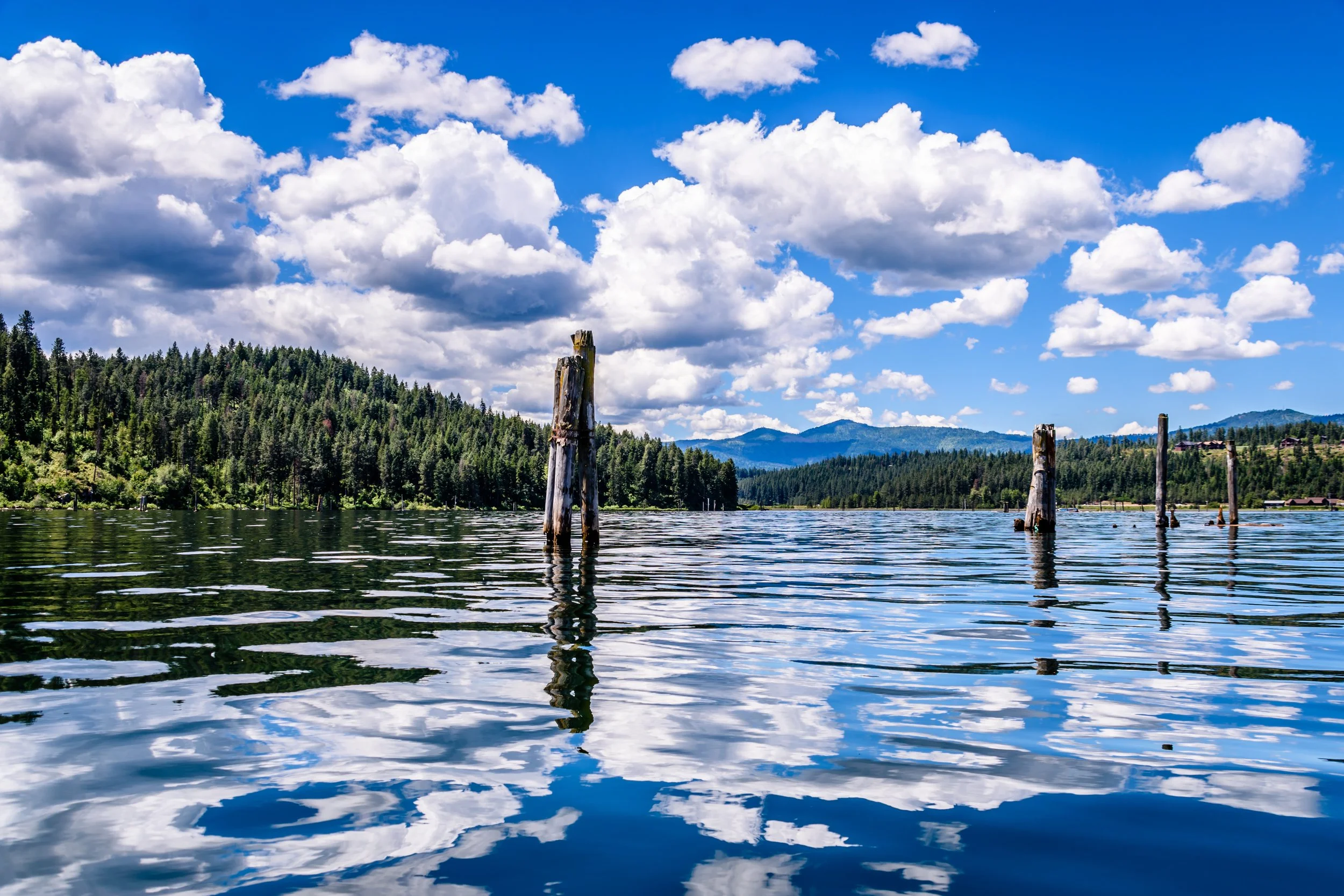 Cougar Bay on a Sunny Day