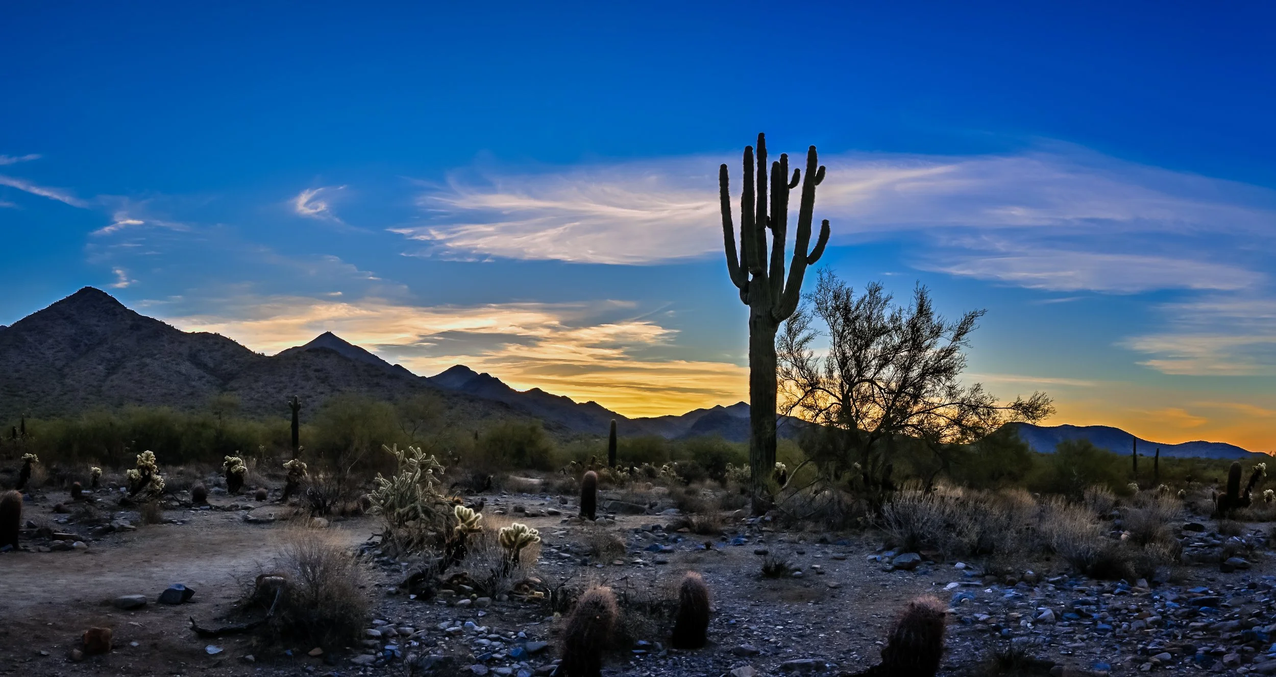Mc Dowell Park Sunrise
