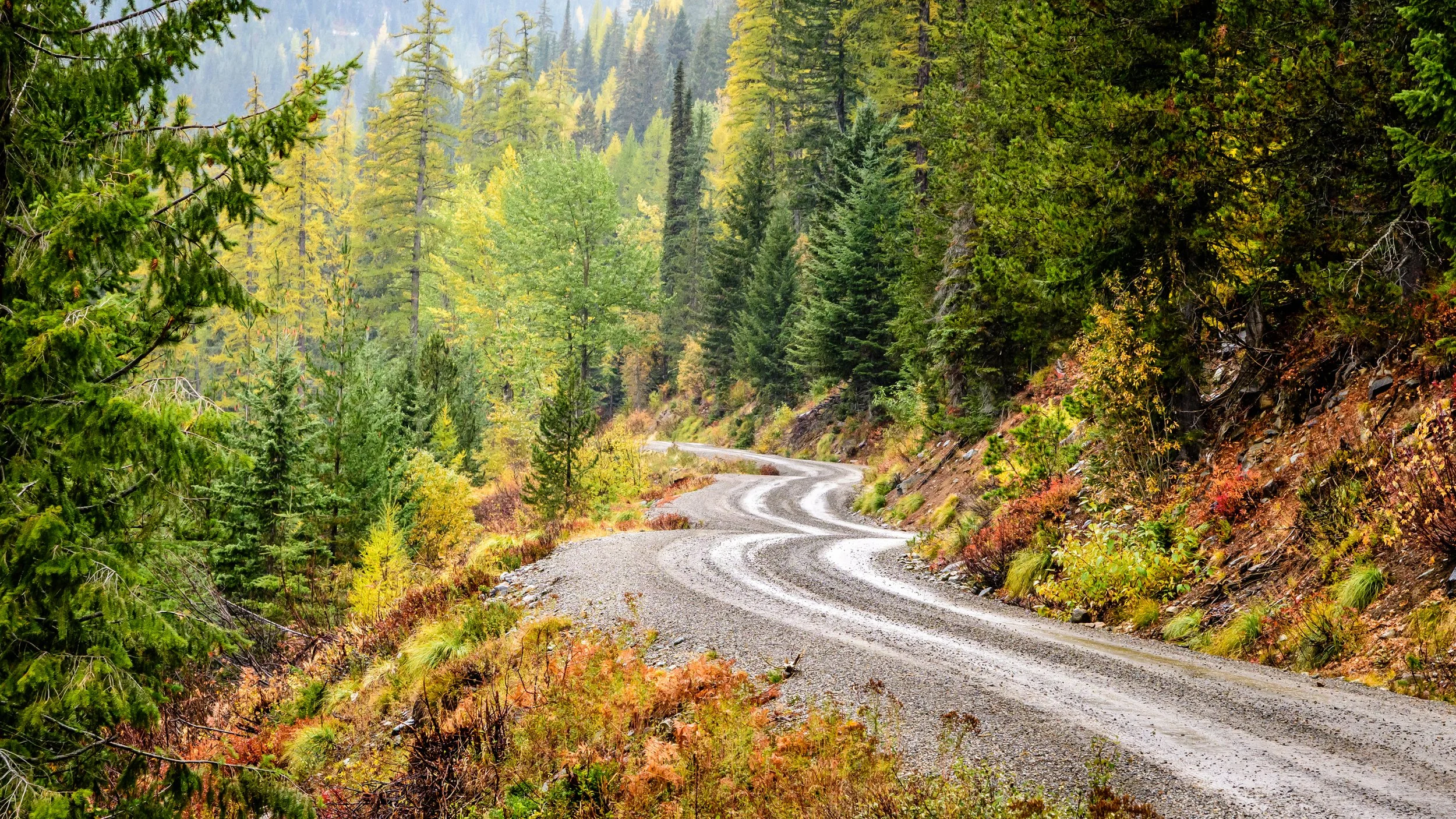 Lightning Creek Road