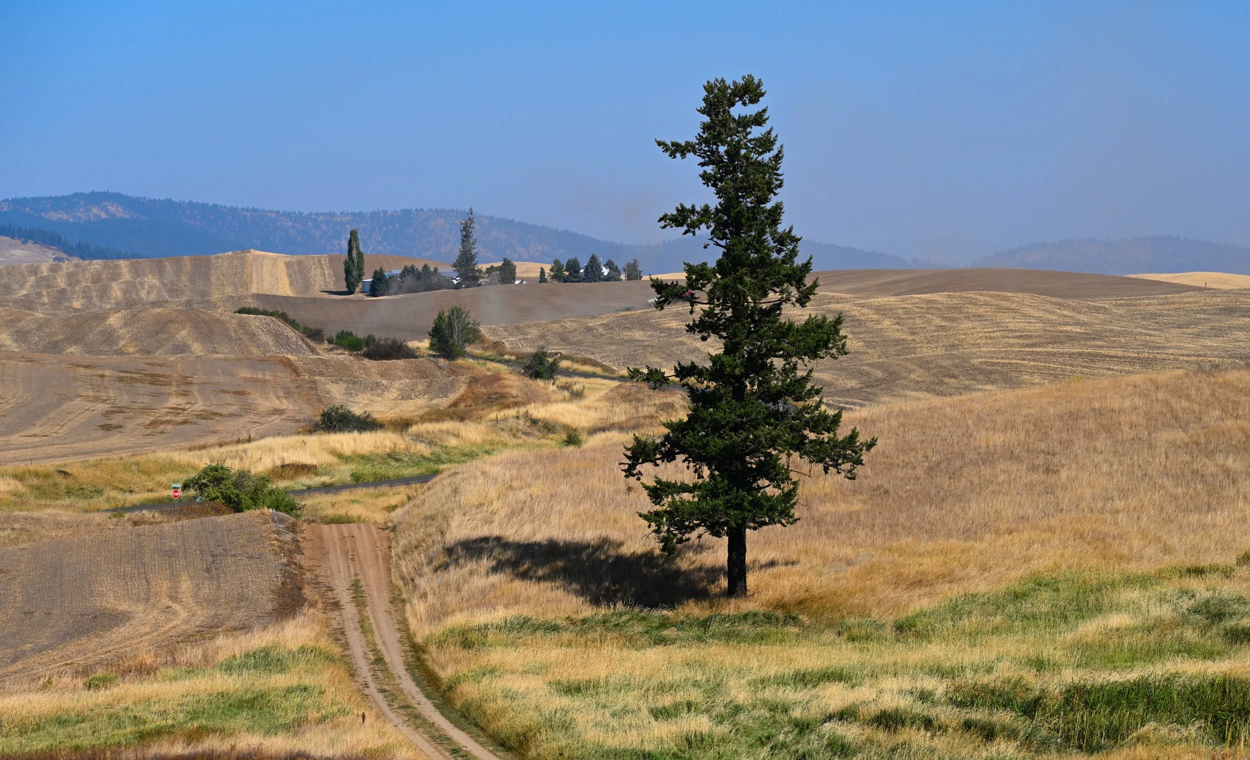 Palouse Road to Nowhere