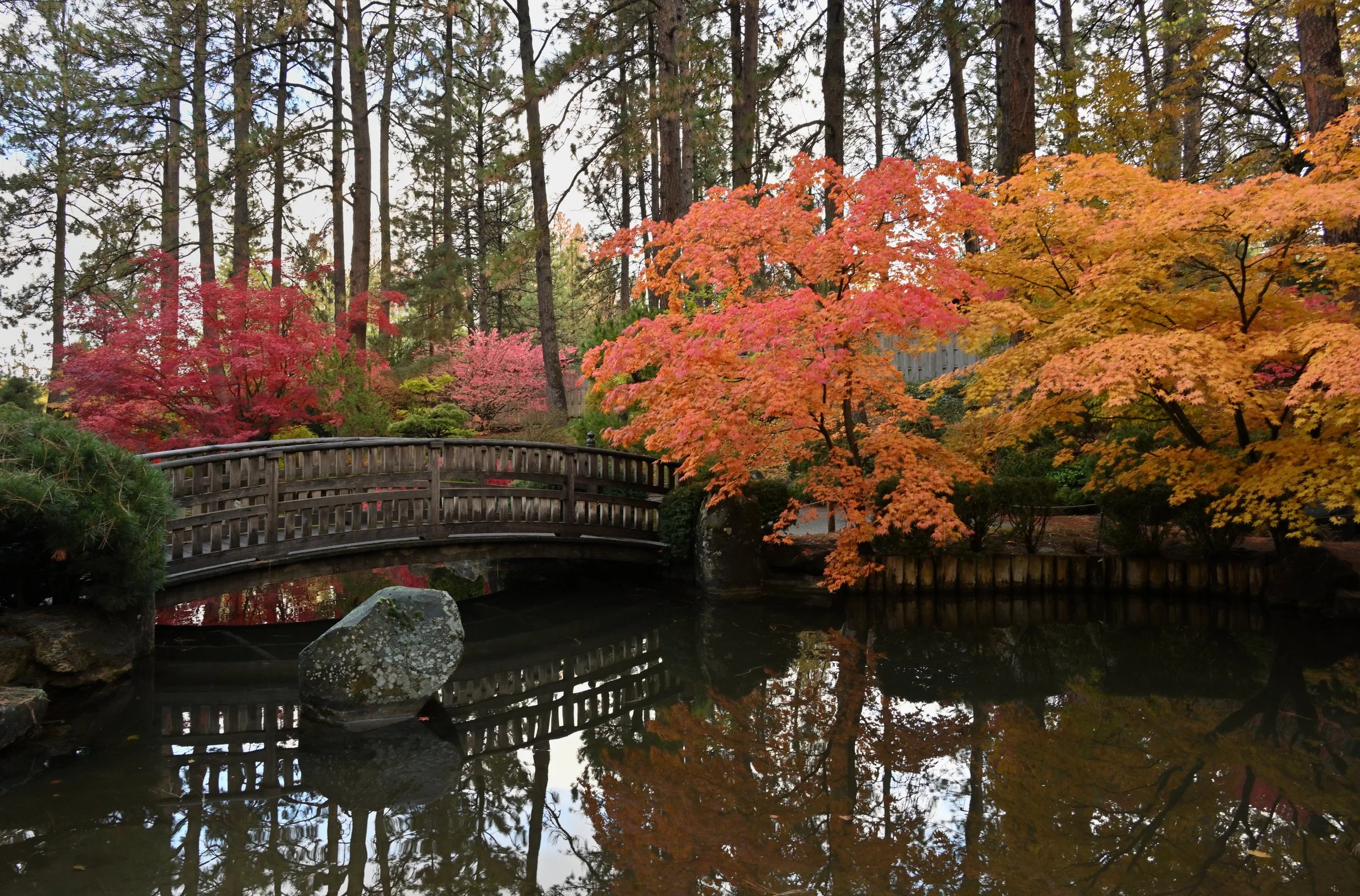 Japanese Gardens In Manito Park