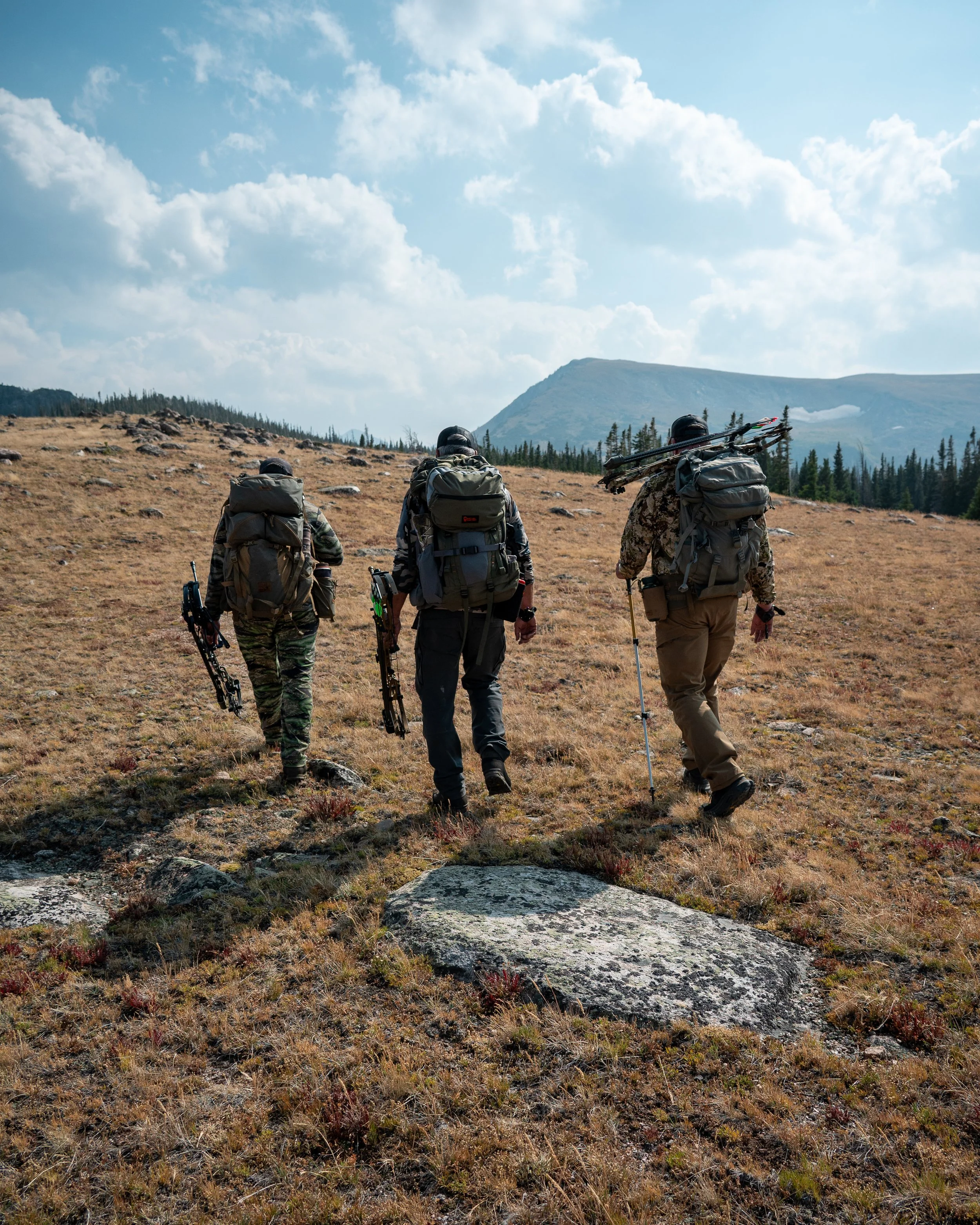 Visual marketing assets for businesses in the firearm, hunting, and outdoor recreational industries - Archery elk hunt