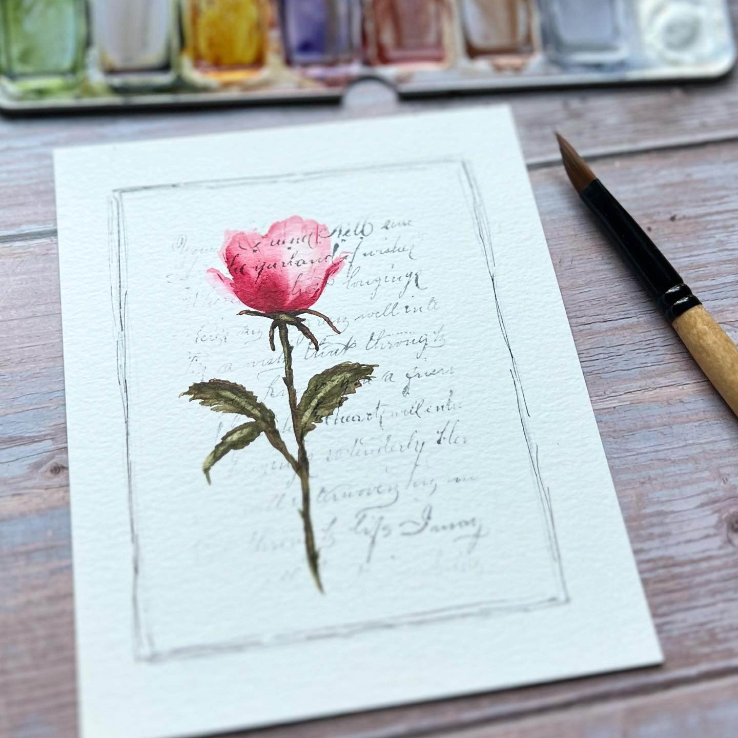 On the desk today&hellip;a single vintage watercolor rose. I&rsquo;m thinking this should be/could be a new USPS stamp design 📬 wouldn&rsquo;t that be fun! 

#wedgewithjen #vintageartwork #vintageinspiration #watercolorrose #watercolorart #floralart