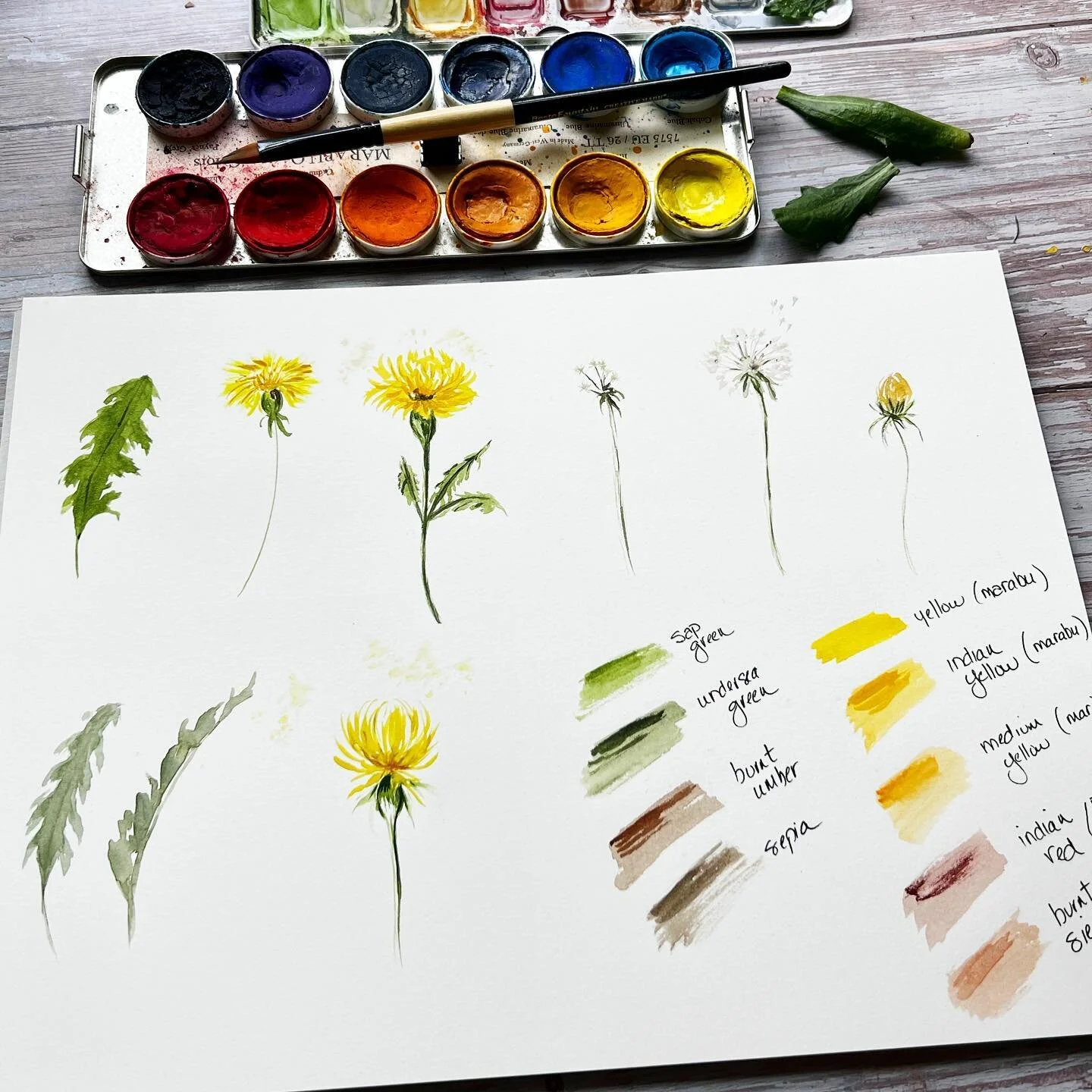 I&rsquo;m up to my elbows in handouts for my Line Art Florals class where you&rsquo;ll 𝗱𝗿𝗮𝘄 several wildflowers, learn techniques &amp; tips for creating almost 𝗮𝗻𝘆 flower. 👉🏻 But as I&rsquo;m studying these drawings, my wedge brush is beggi