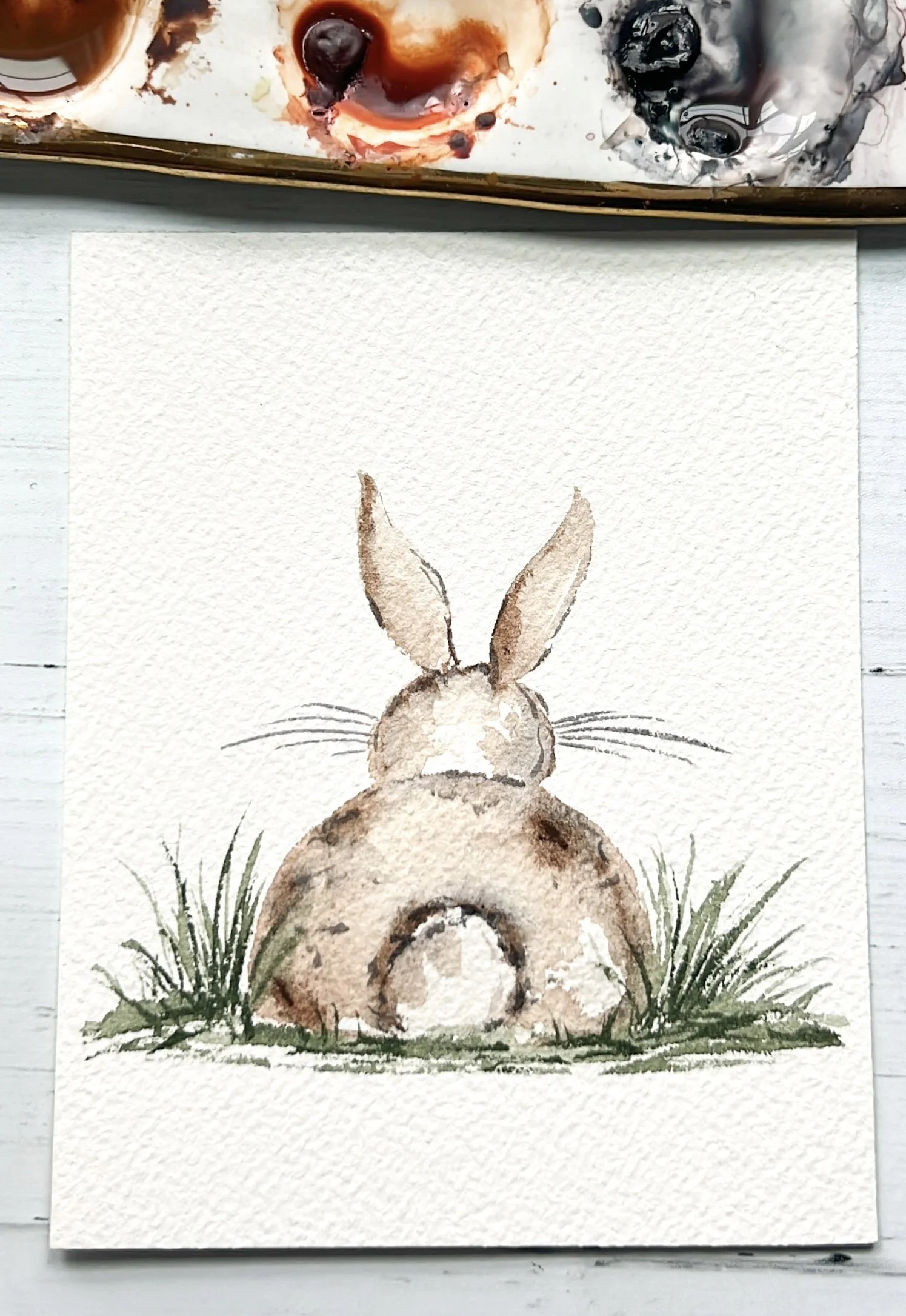 Wedge brush bunny.jpg