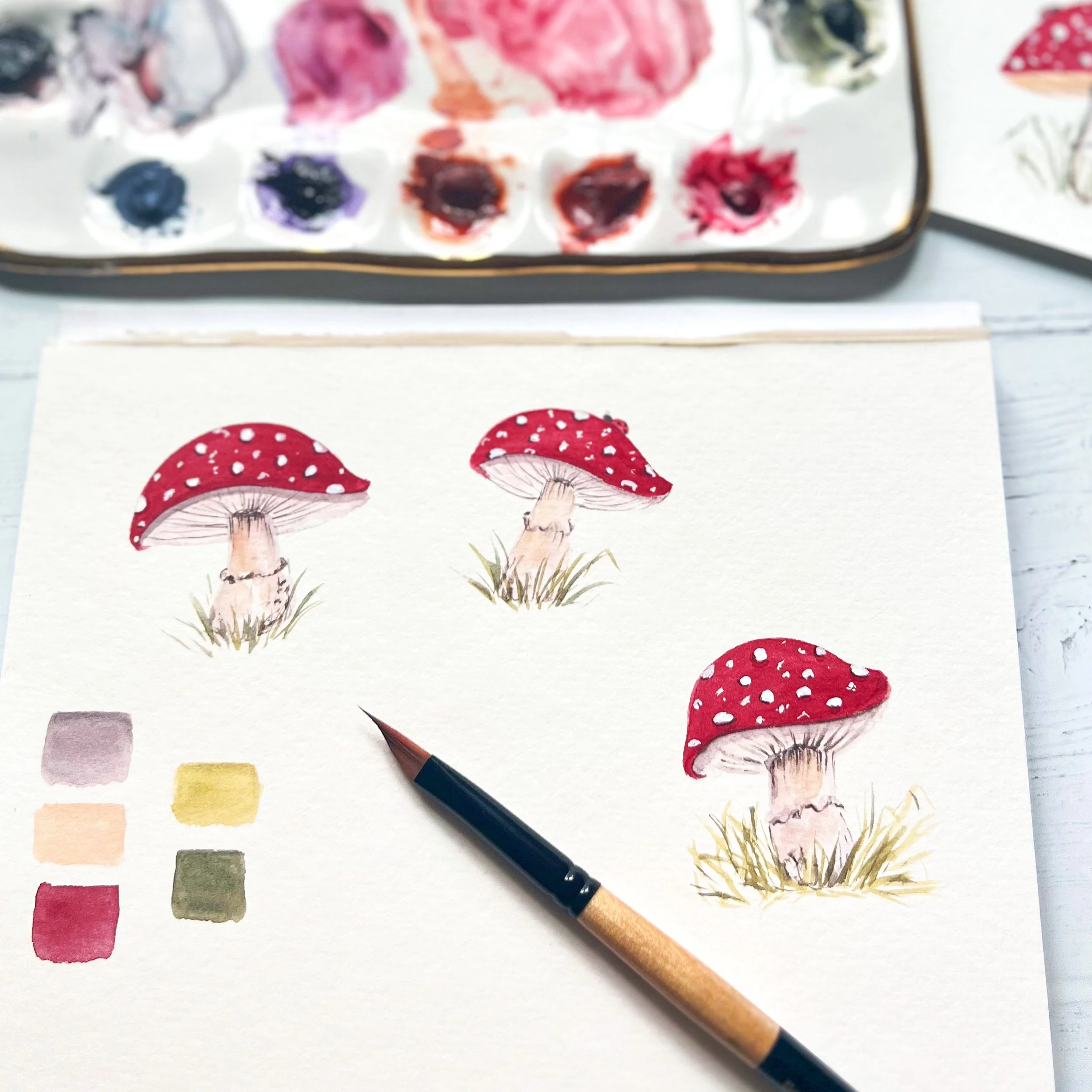 Wedge brush mushrooms.JPG