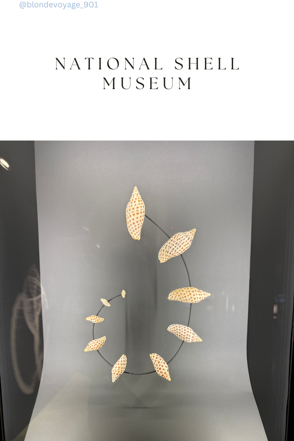 National Shell Museum in Sanibel, Florida