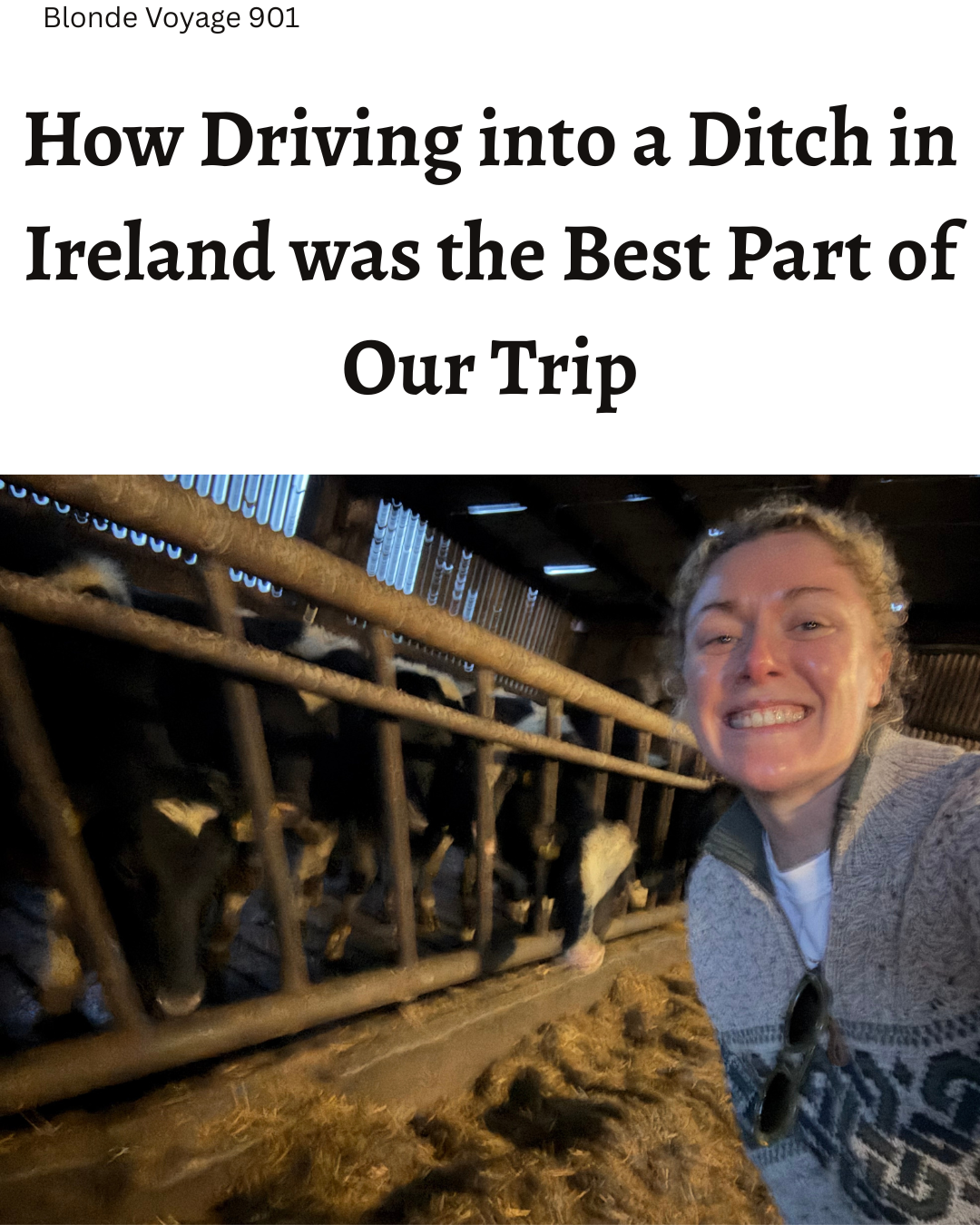 How Driving into a ditch in Ireland was the best part of our trip