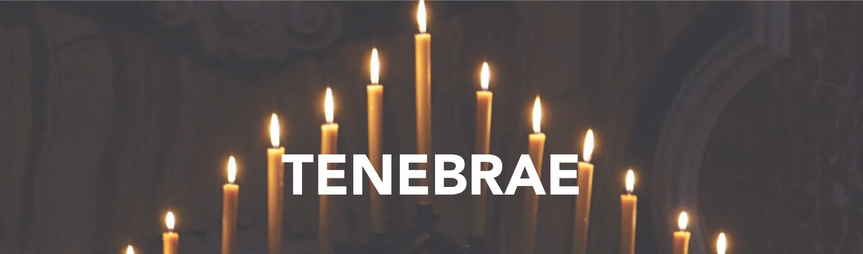Holy Wednesday, April 1, 7-8 pm, Tenebrae Service