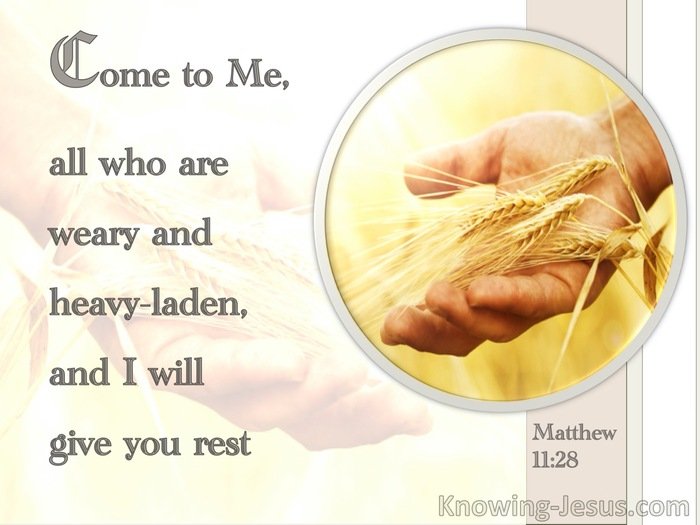 Sunday, July 5, 8 and 10 amWorship