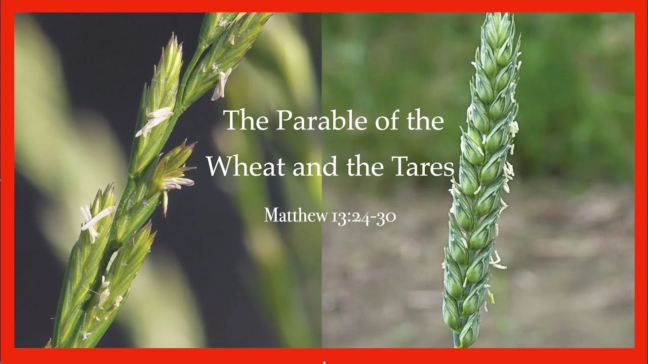 Sunday, July 19, 8 and 10 am Worship