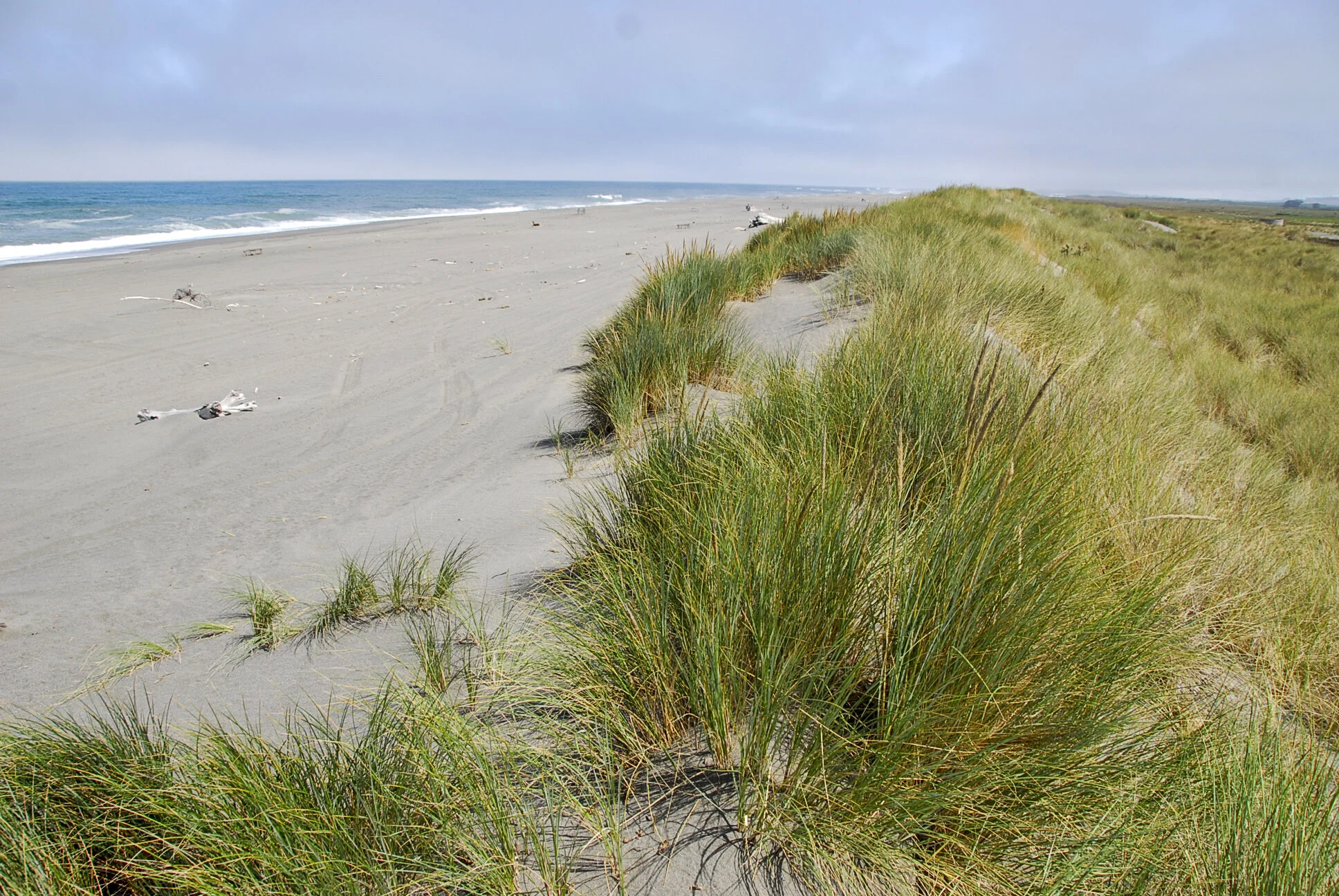 Eel River Emerald Necklace » The Wildlands Conservancy