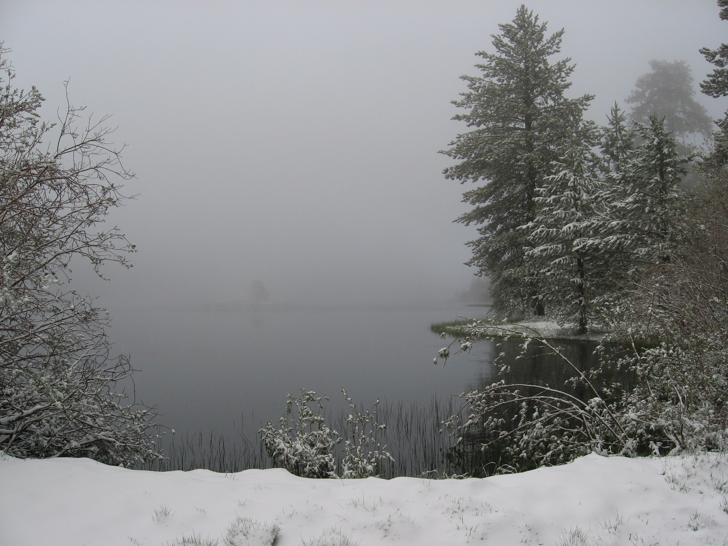Bluff Lake in Winter