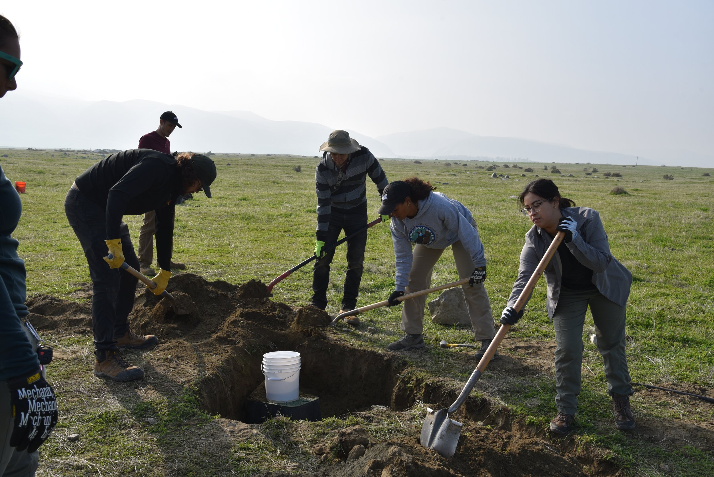 Burrowing Owl Den Installation