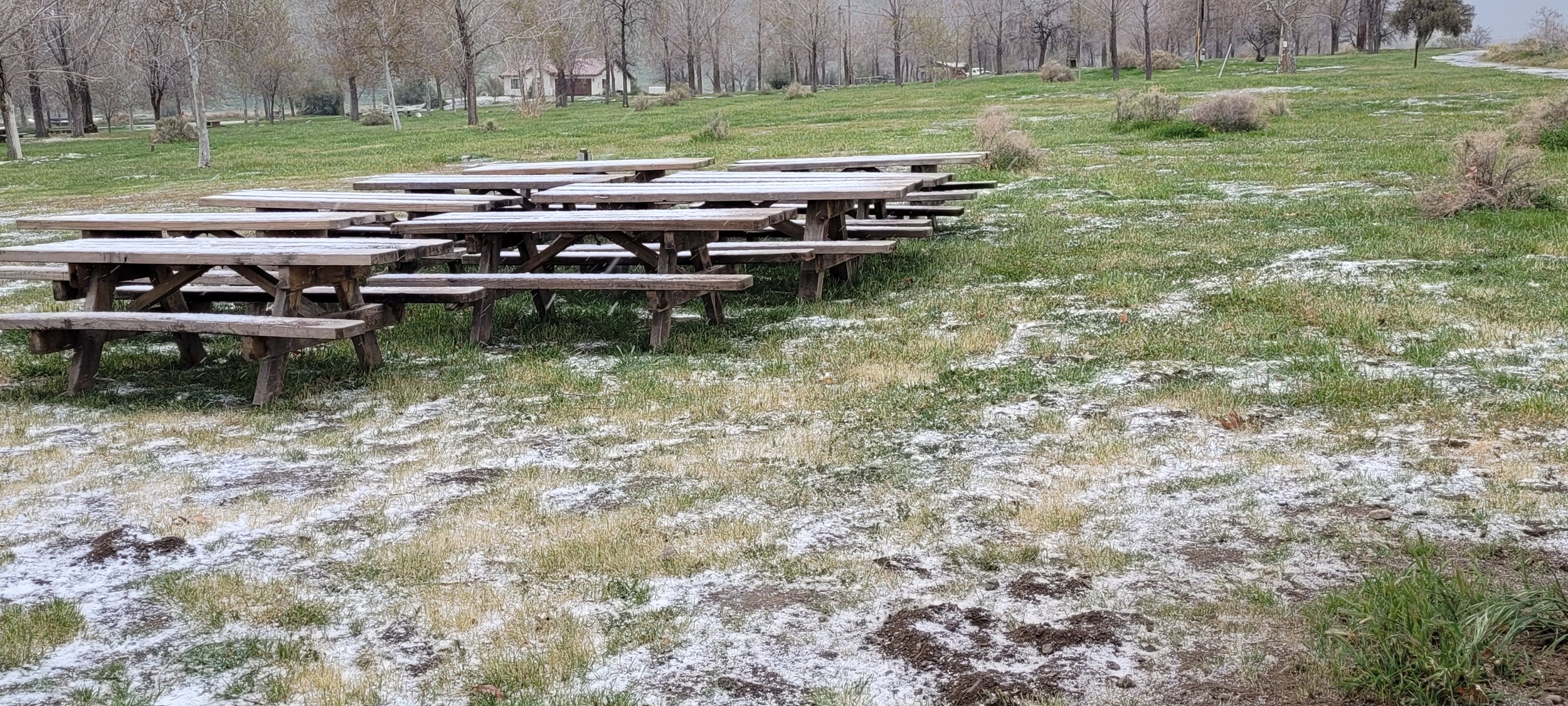 Hail Covered Picnic Area