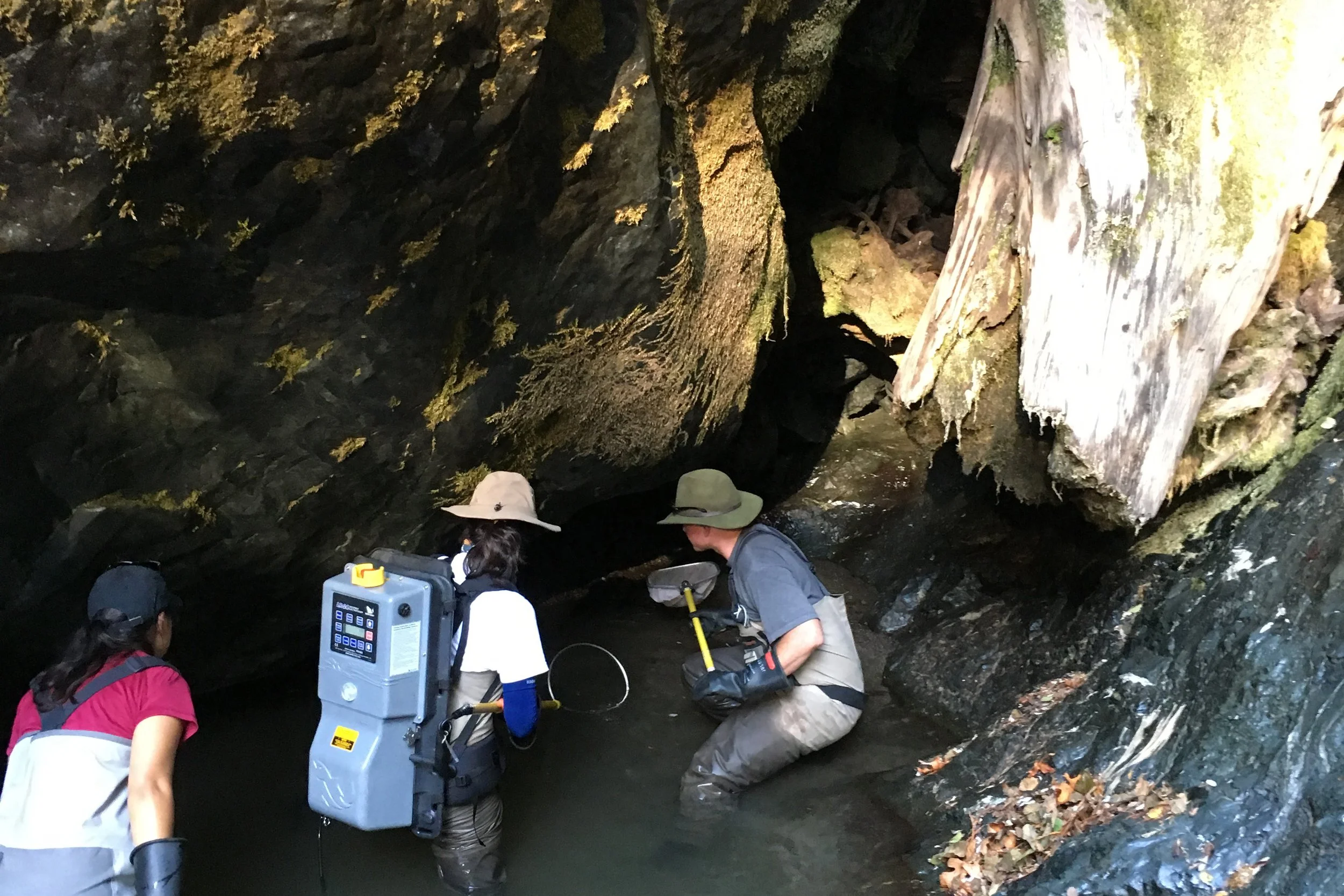 JHP_RG electrofishing_fall 2019_J.Adams.JPG