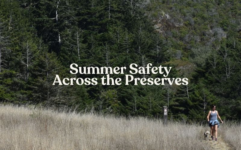 Summer Safety Across the Preserve System