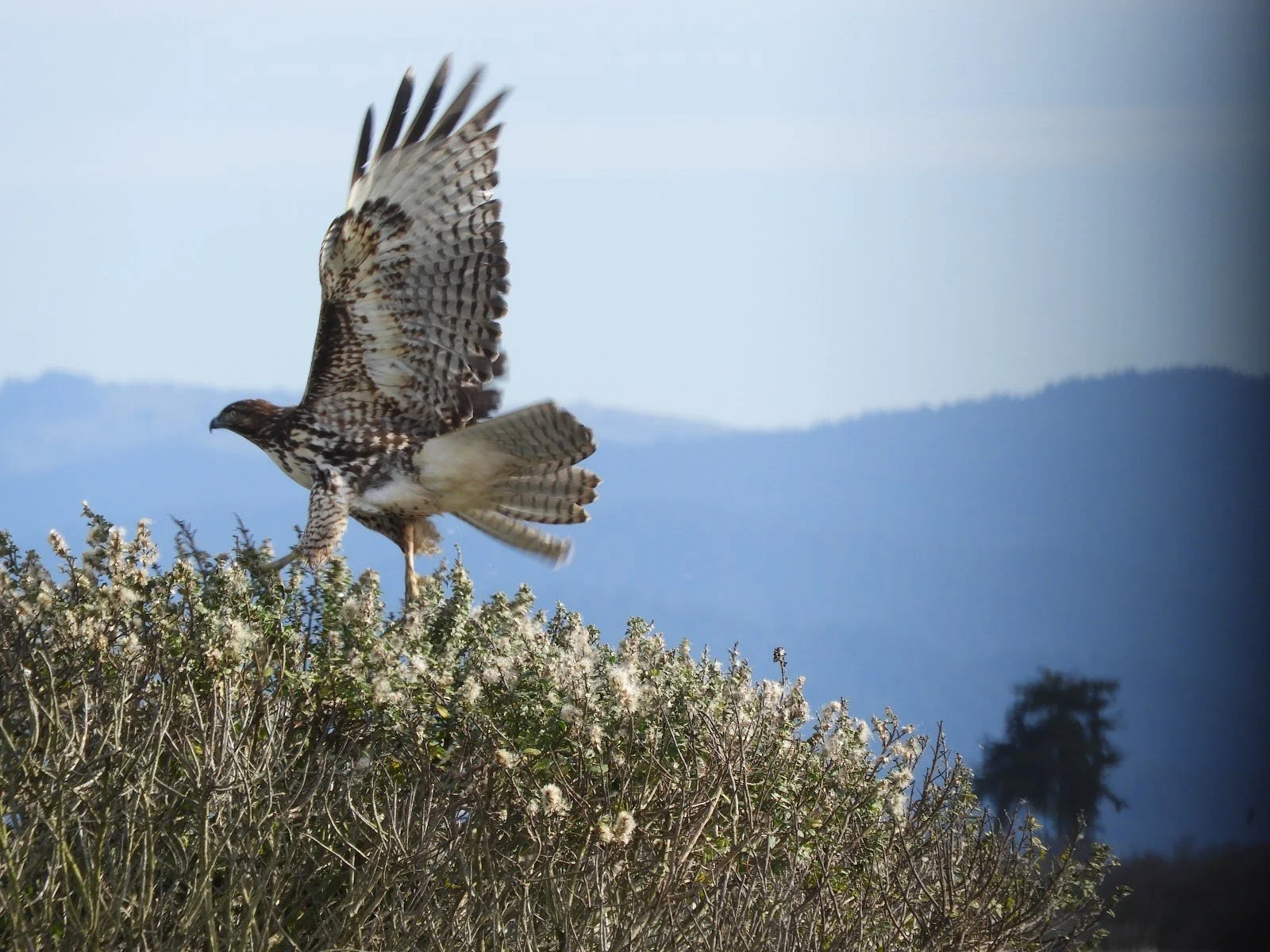 Photo by Brooke Douglass.