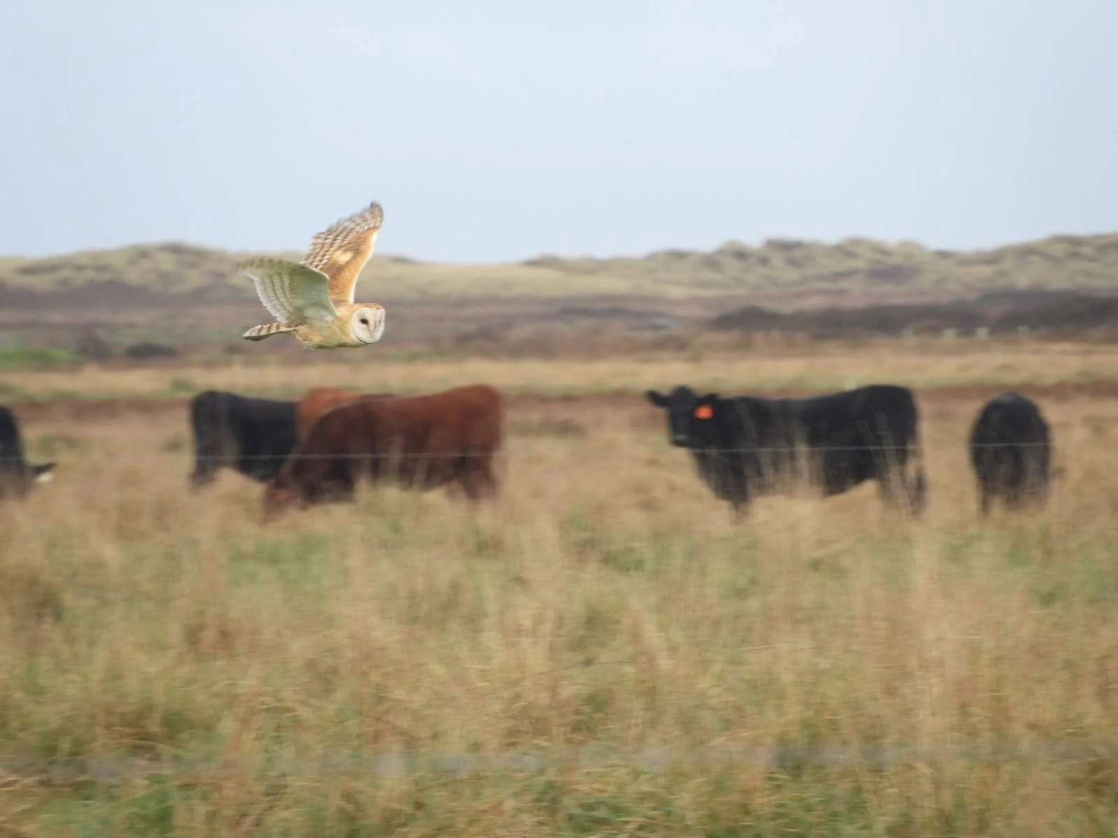 Photo by Brooke Douglass.