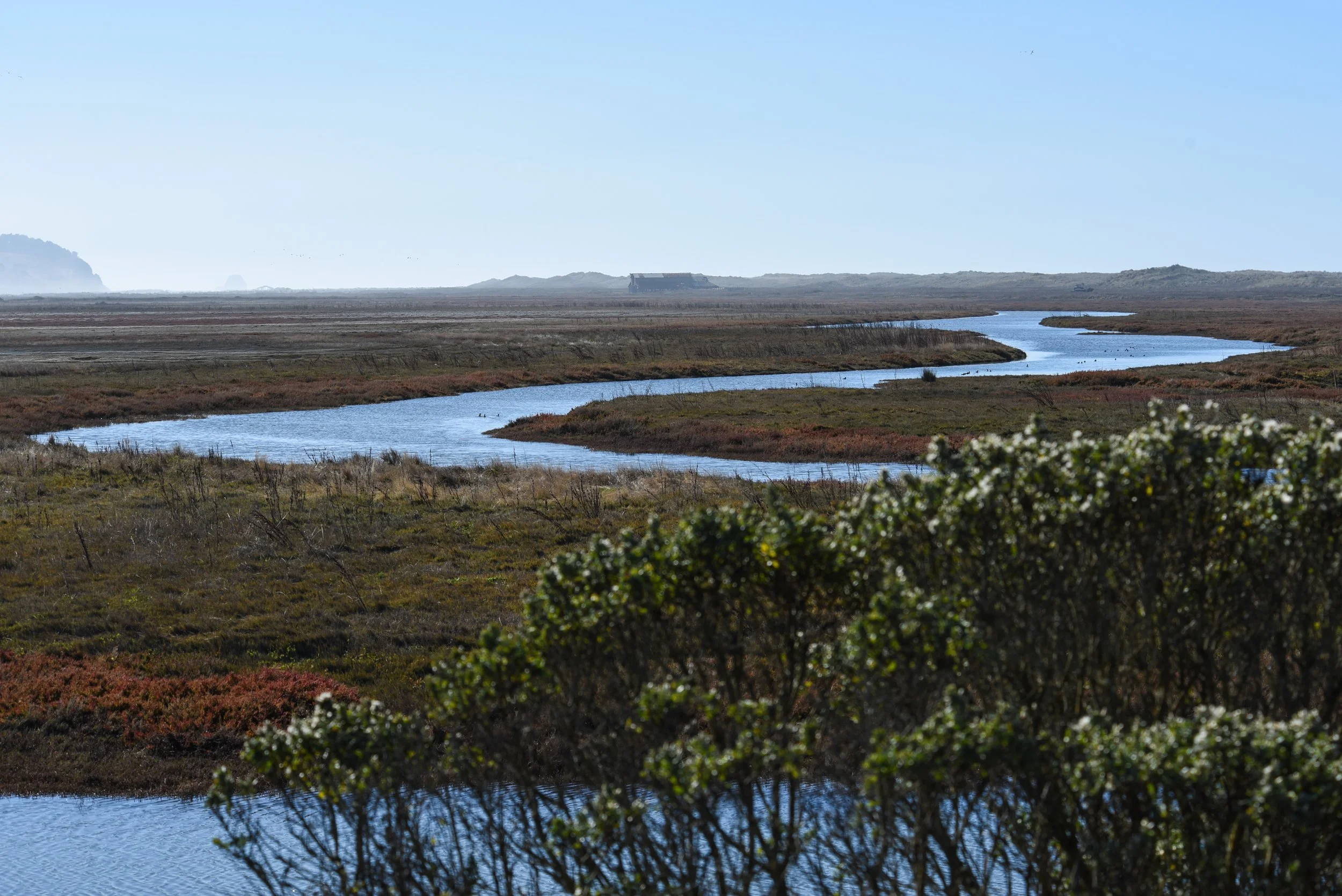 Restoration: Bringing the Tides Back to the Eel River Estuary