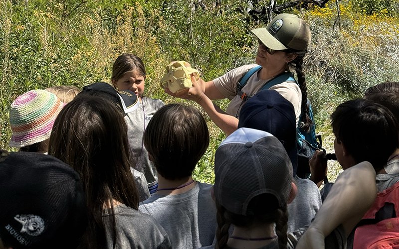 Learning Outside the Classroom