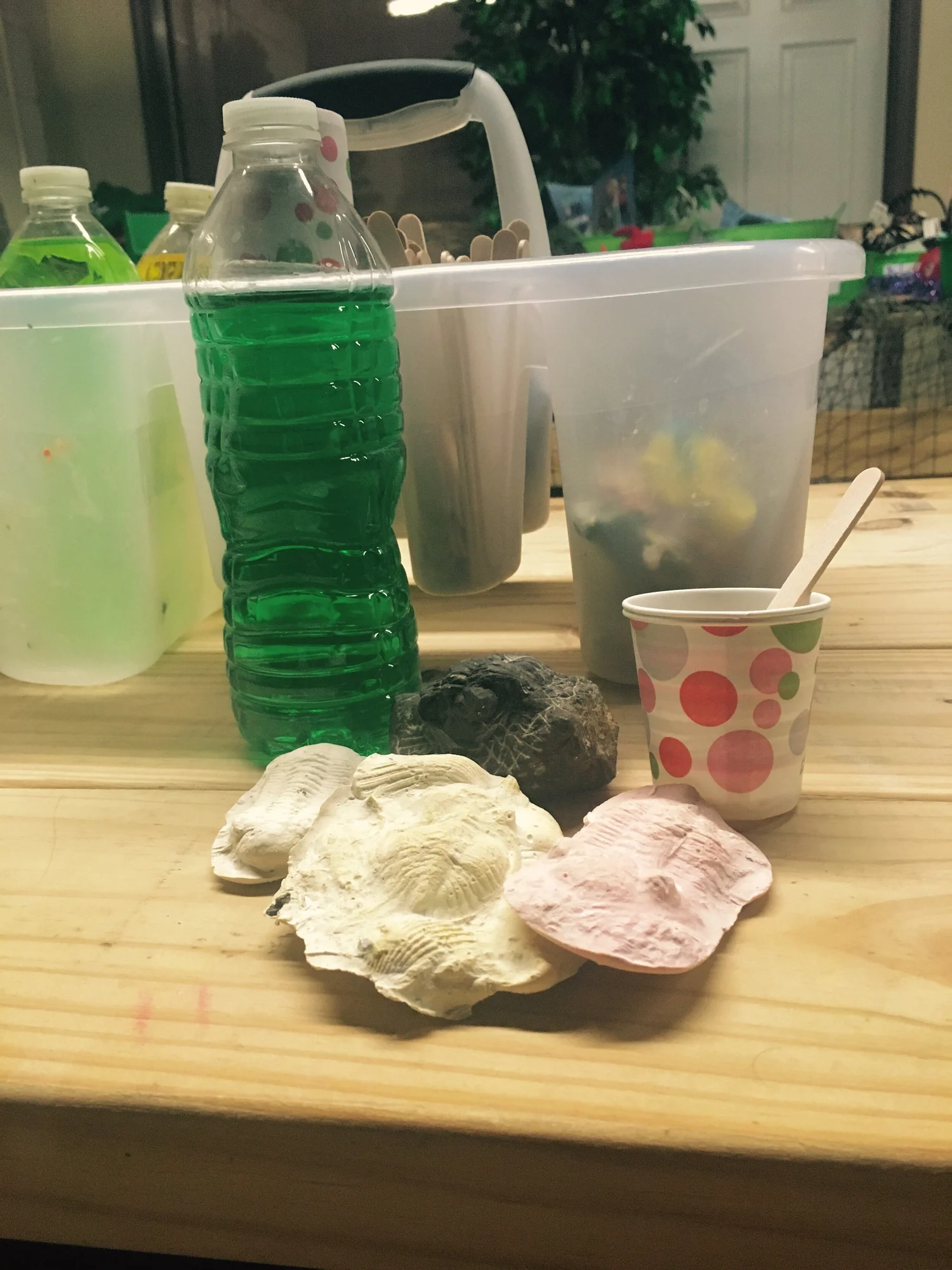 What's Here? — The Akron Fossils and Science Center