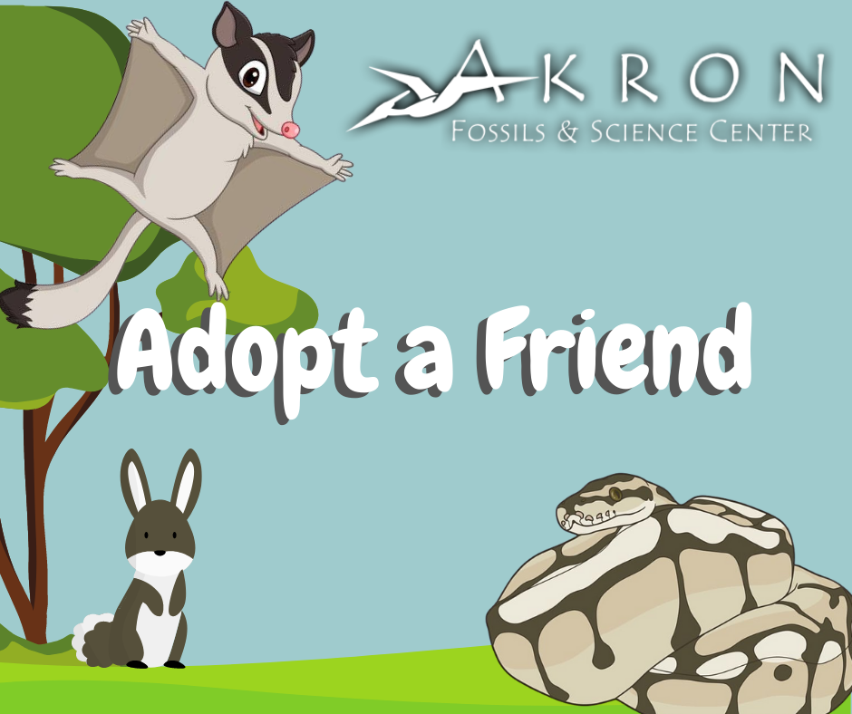 AdoptAFriend.png