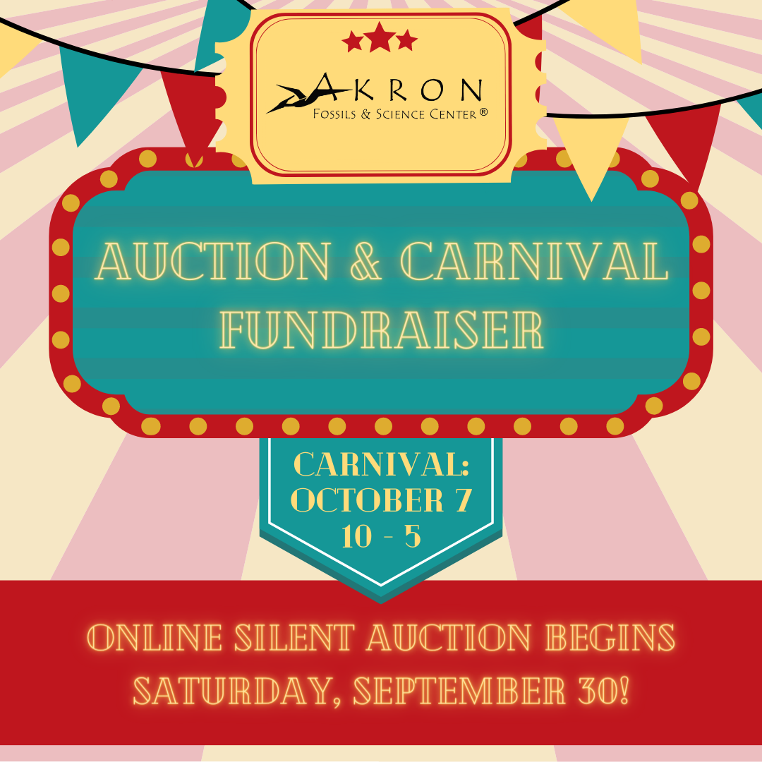 2023 Virtual Silent Auction