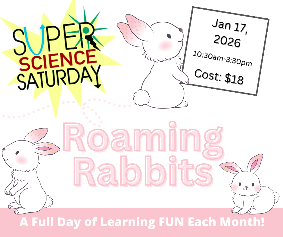 Super Science Saturday - Roaming Rabbits