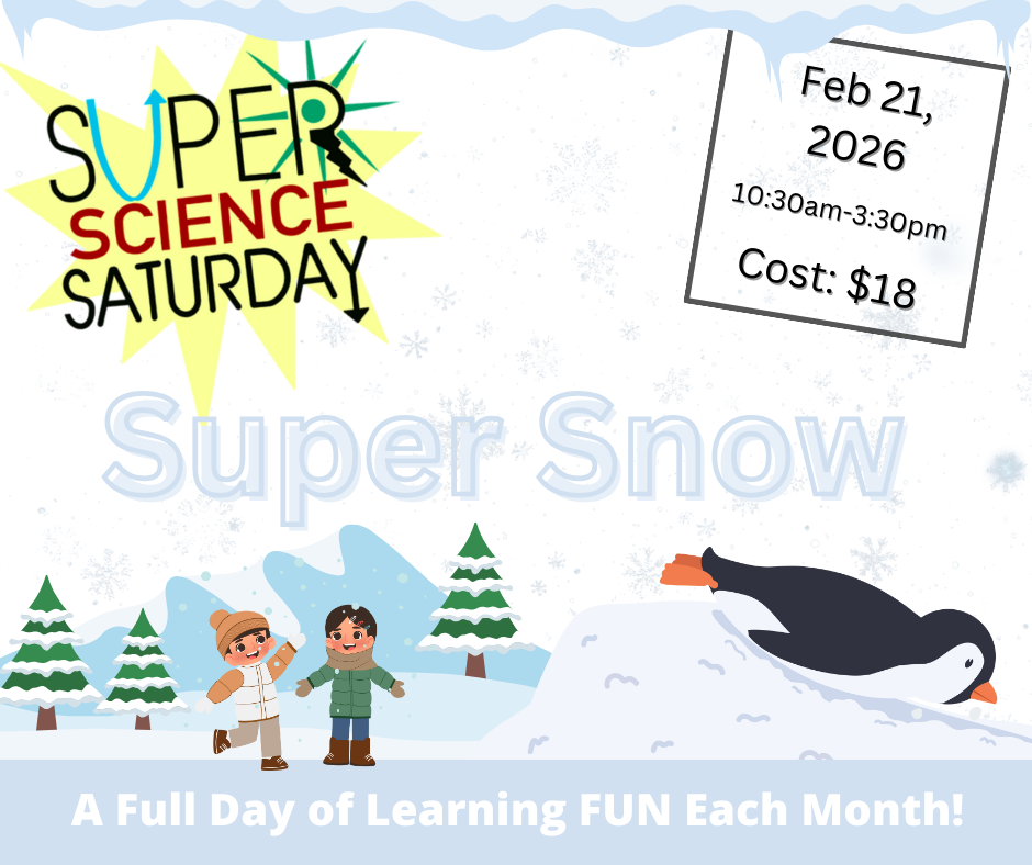 Super Science Saturday - Super Snow